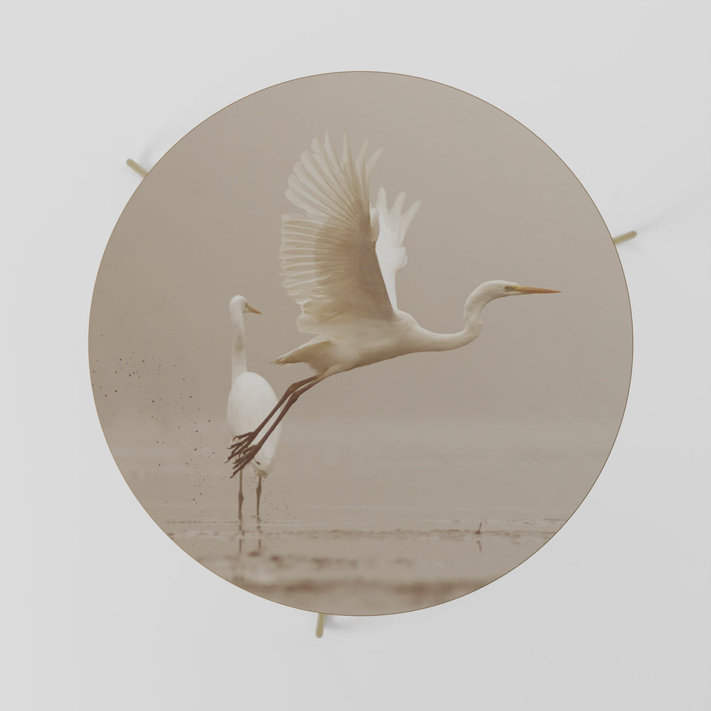 ELEGANT ASCENT Coffee Table 69