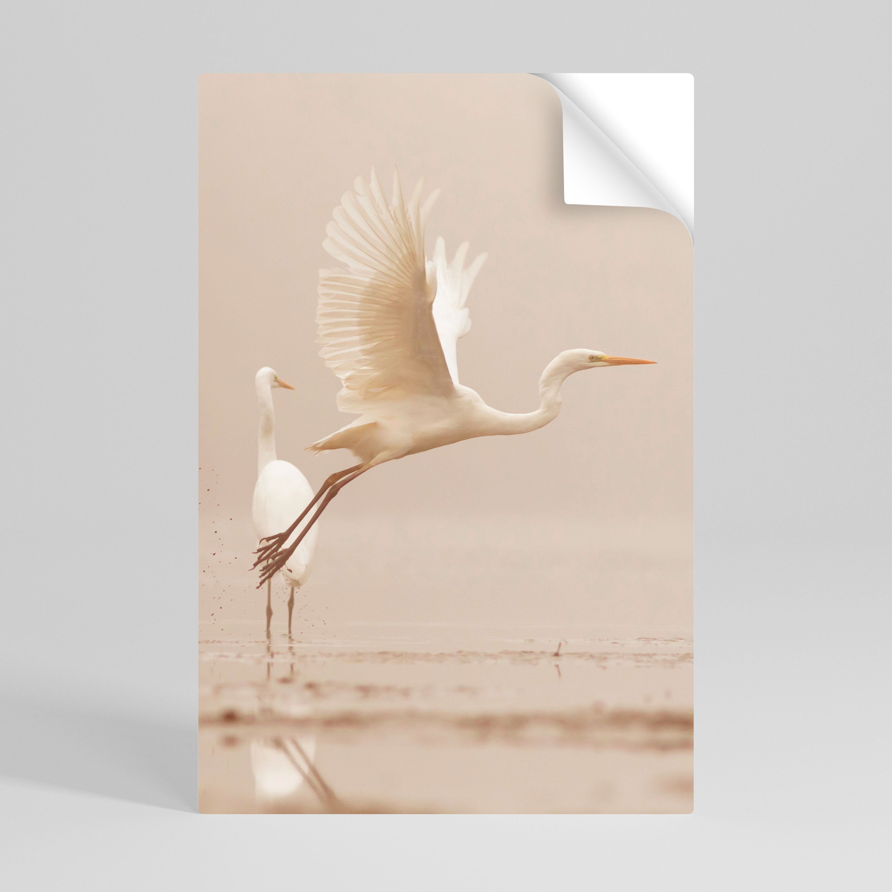 ELEGANT ASCENT Poster Vertical Autocolante