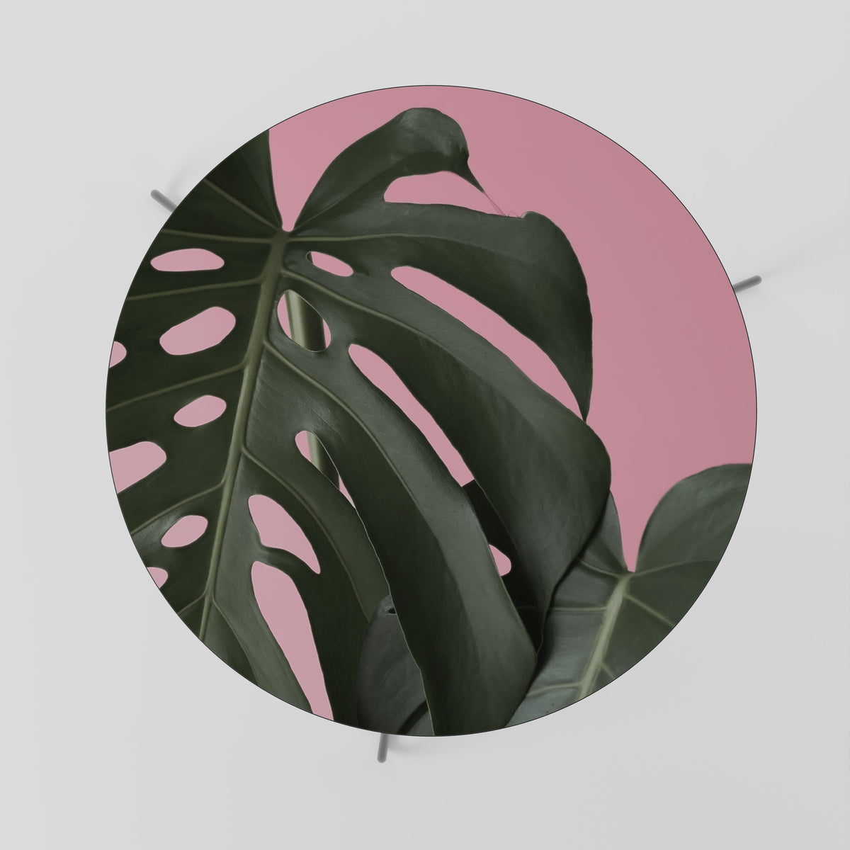 LADY MONSTERA Mesa de Centro