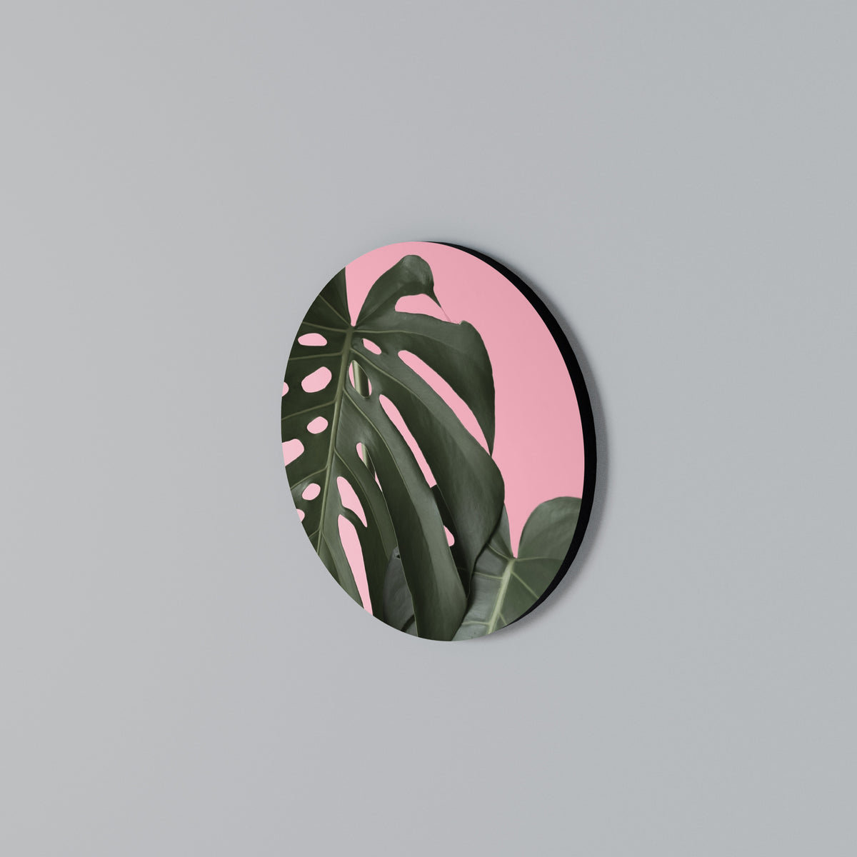 LADY MONSTERA Arte de Parede Redonda