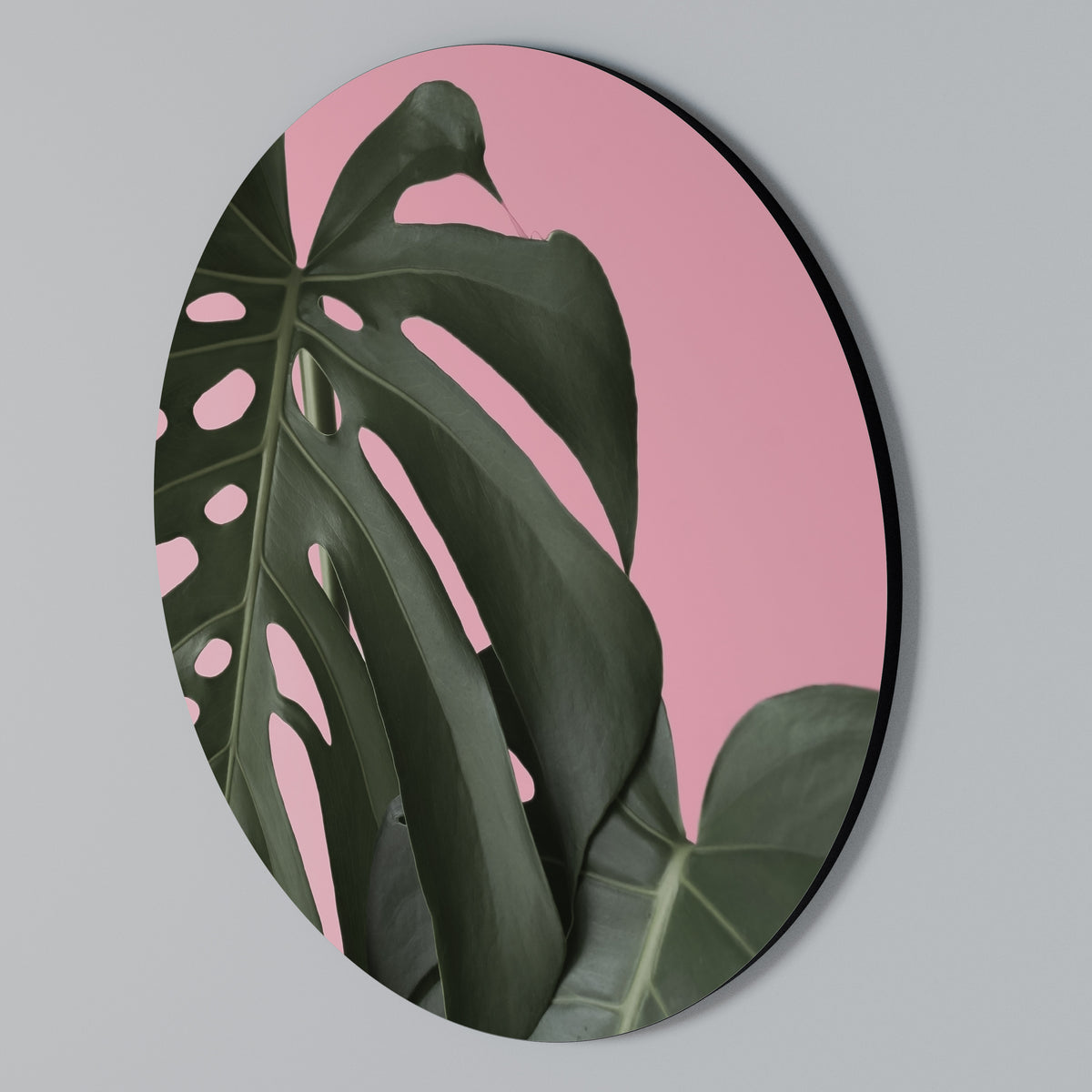 LADY MONSTERA Arte de Parede Redonda