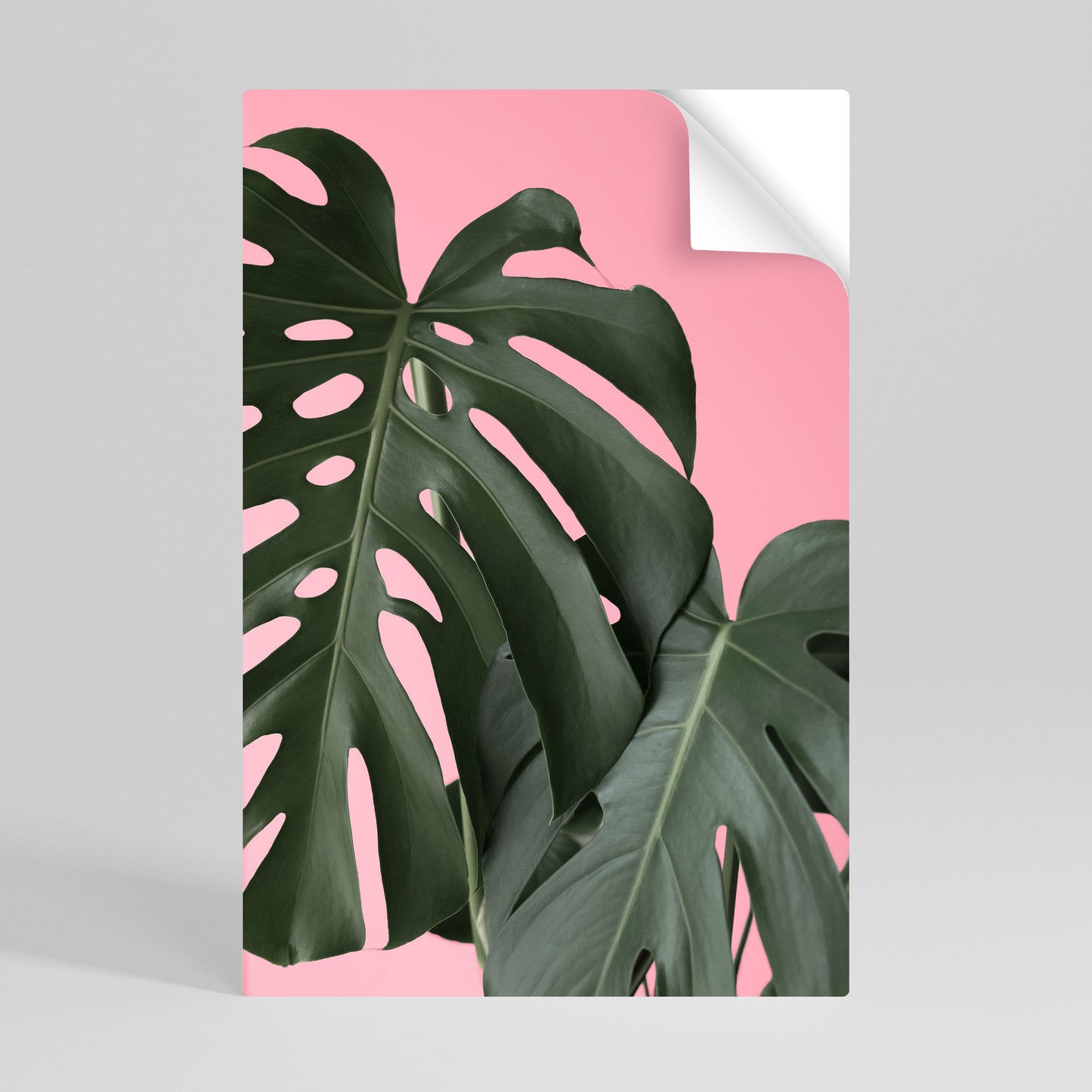 LADY MONSTERA Póster Autocolante Vertical