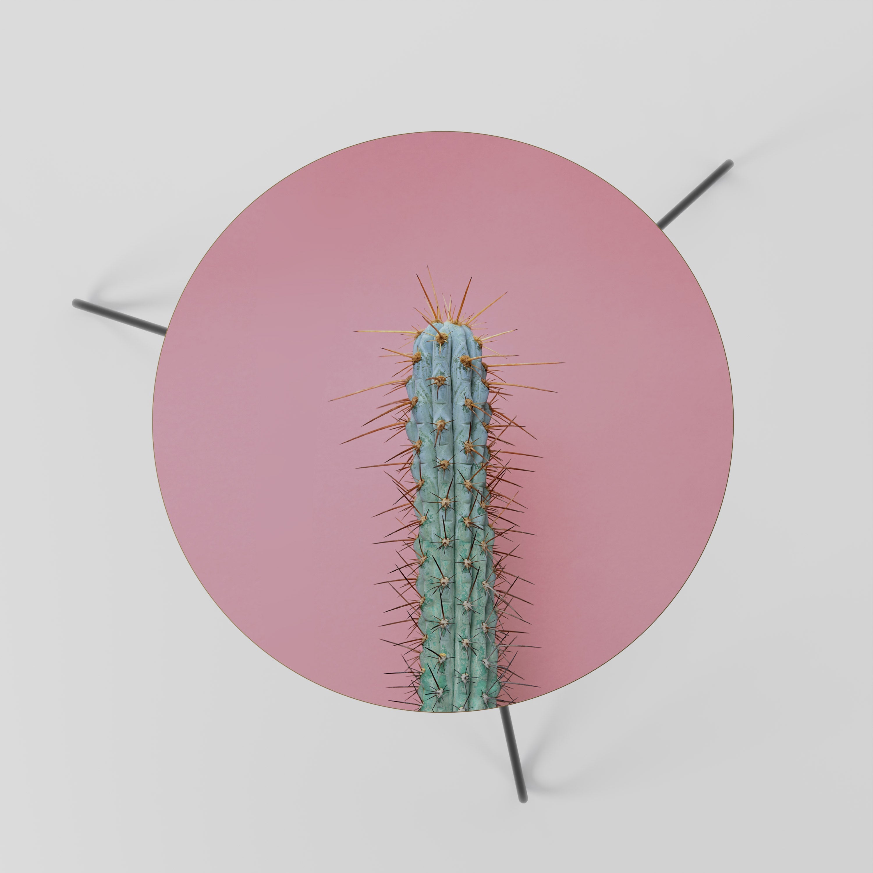 MISTER CACTUS Mesa de Centro 60