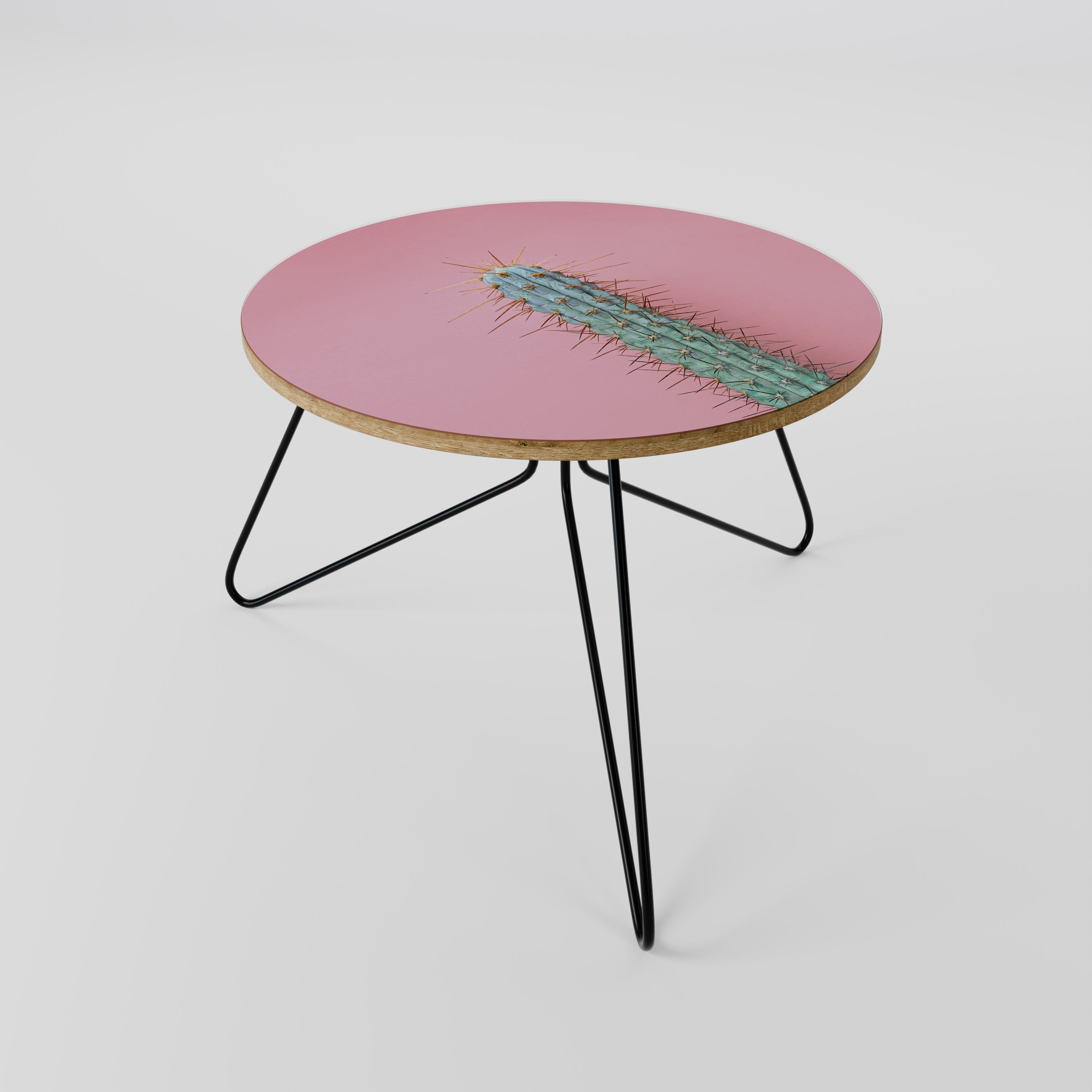 MISTER CACTUS Mesa de Centro 60