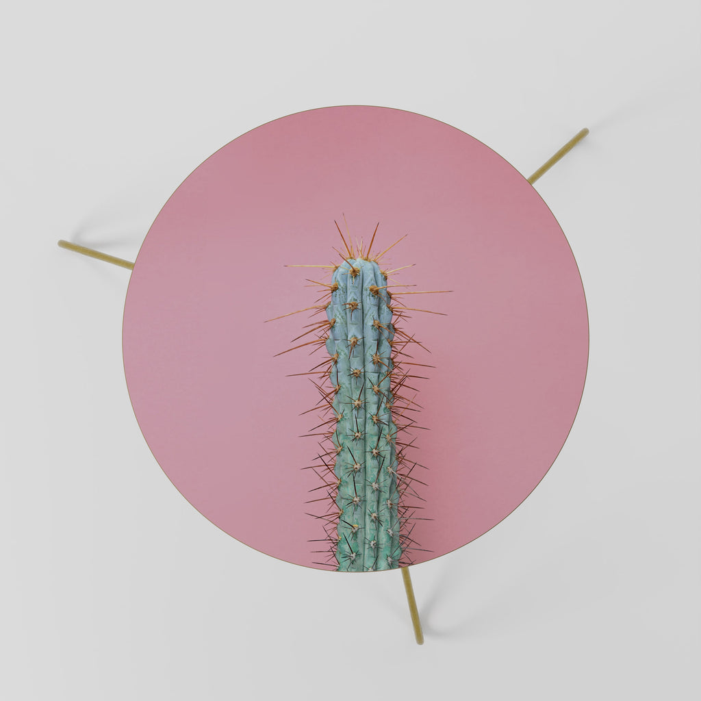 MISTER CACTUS Coffee Table 60