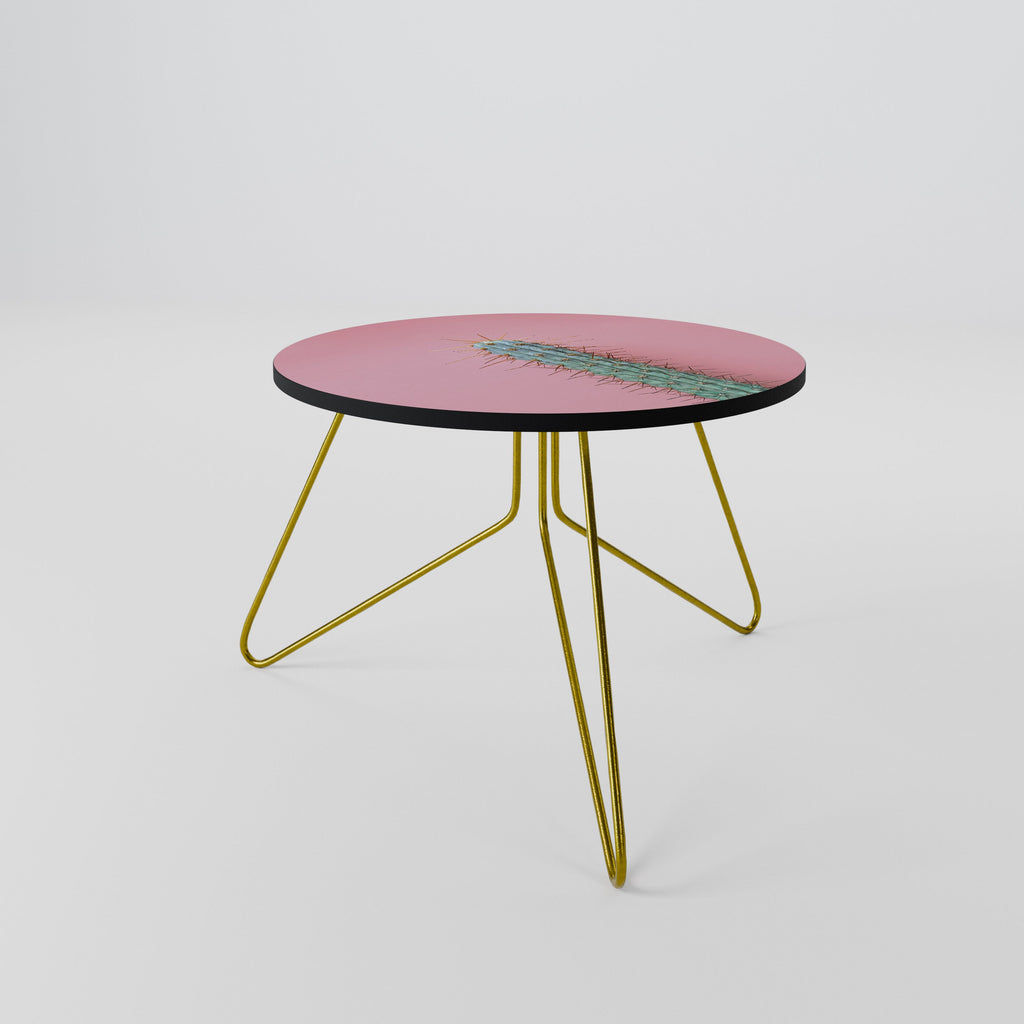 MISTER CACTUS Coffee Table 60