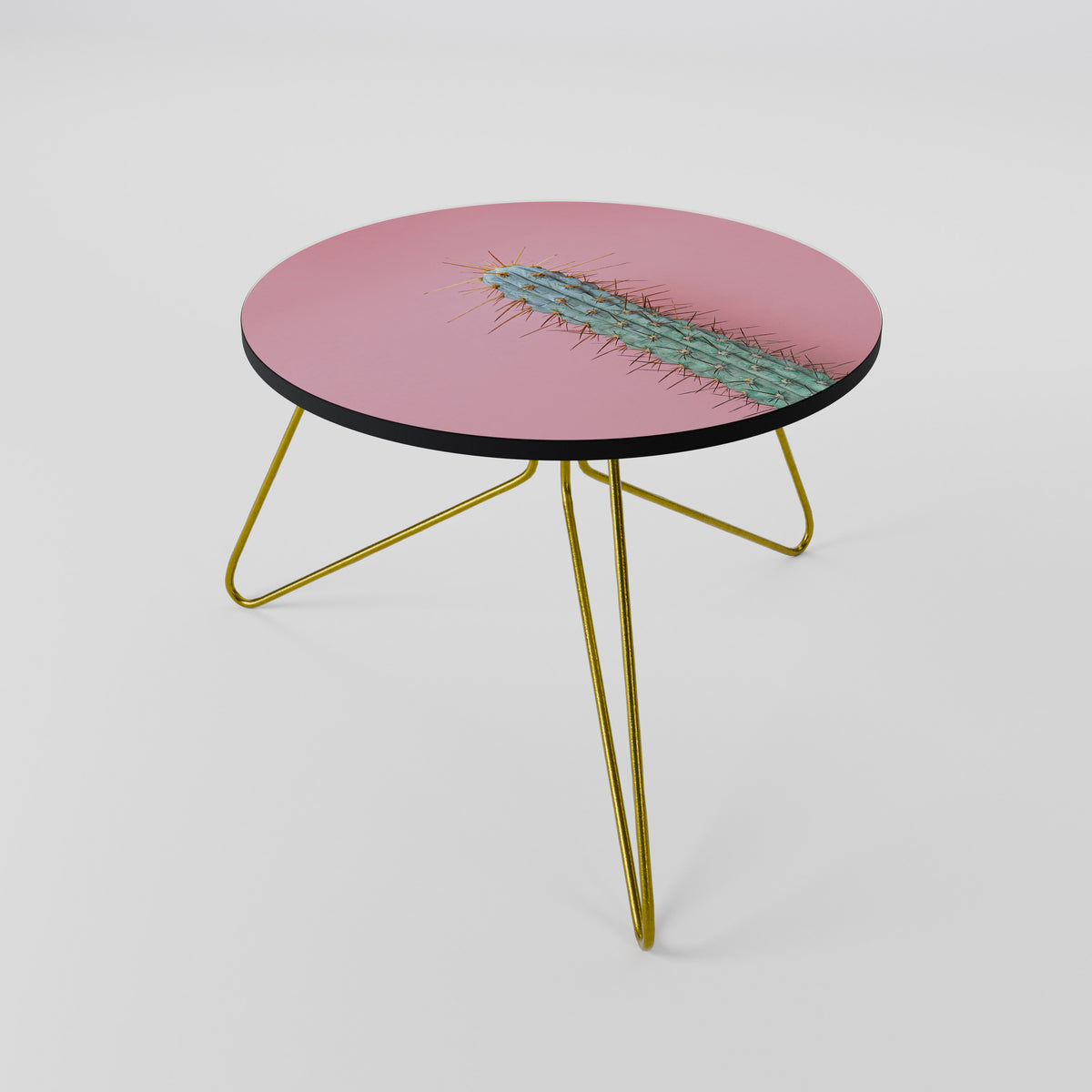 MISTER CACTUS Coffee Table