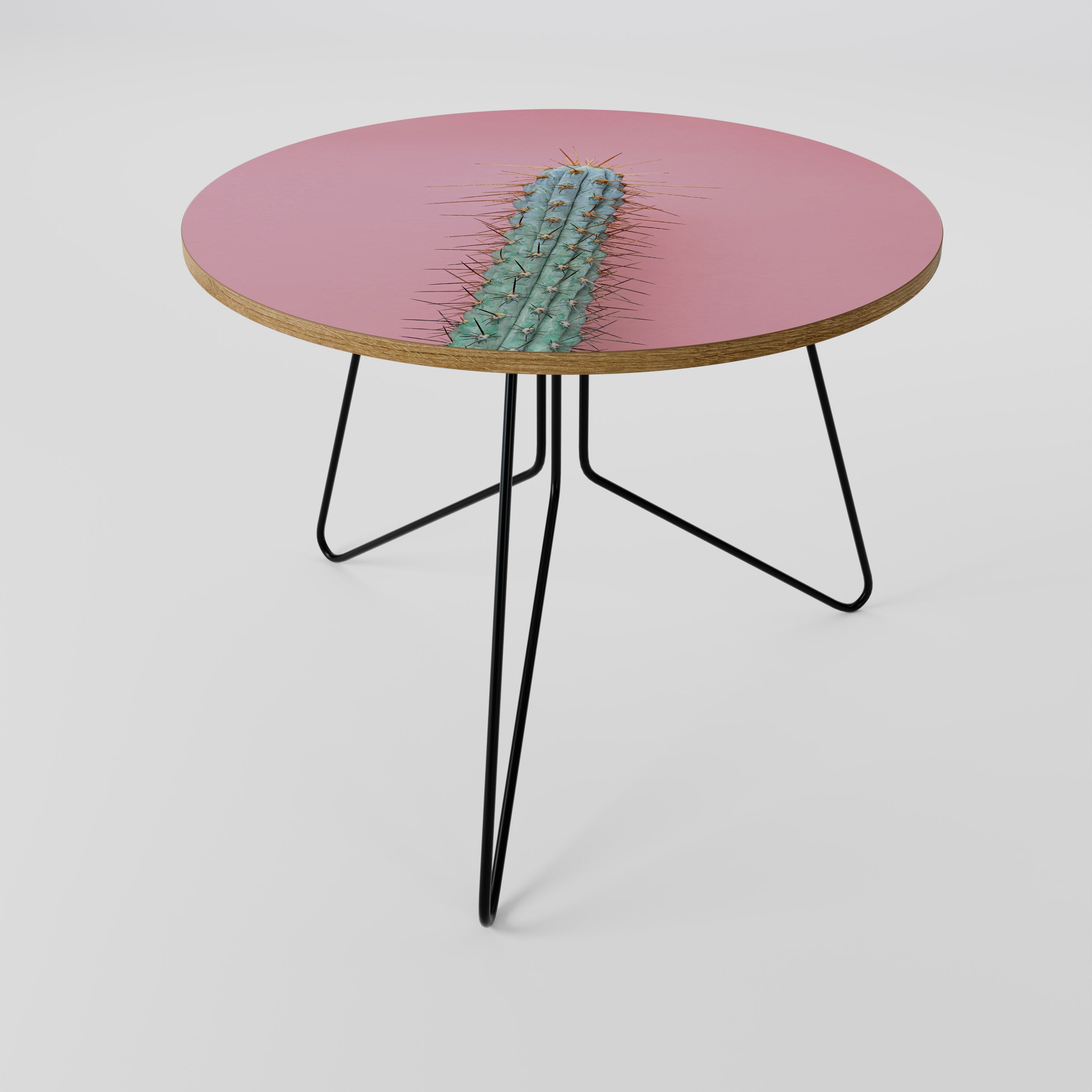 MISTER CACTUS Coffee Table 69