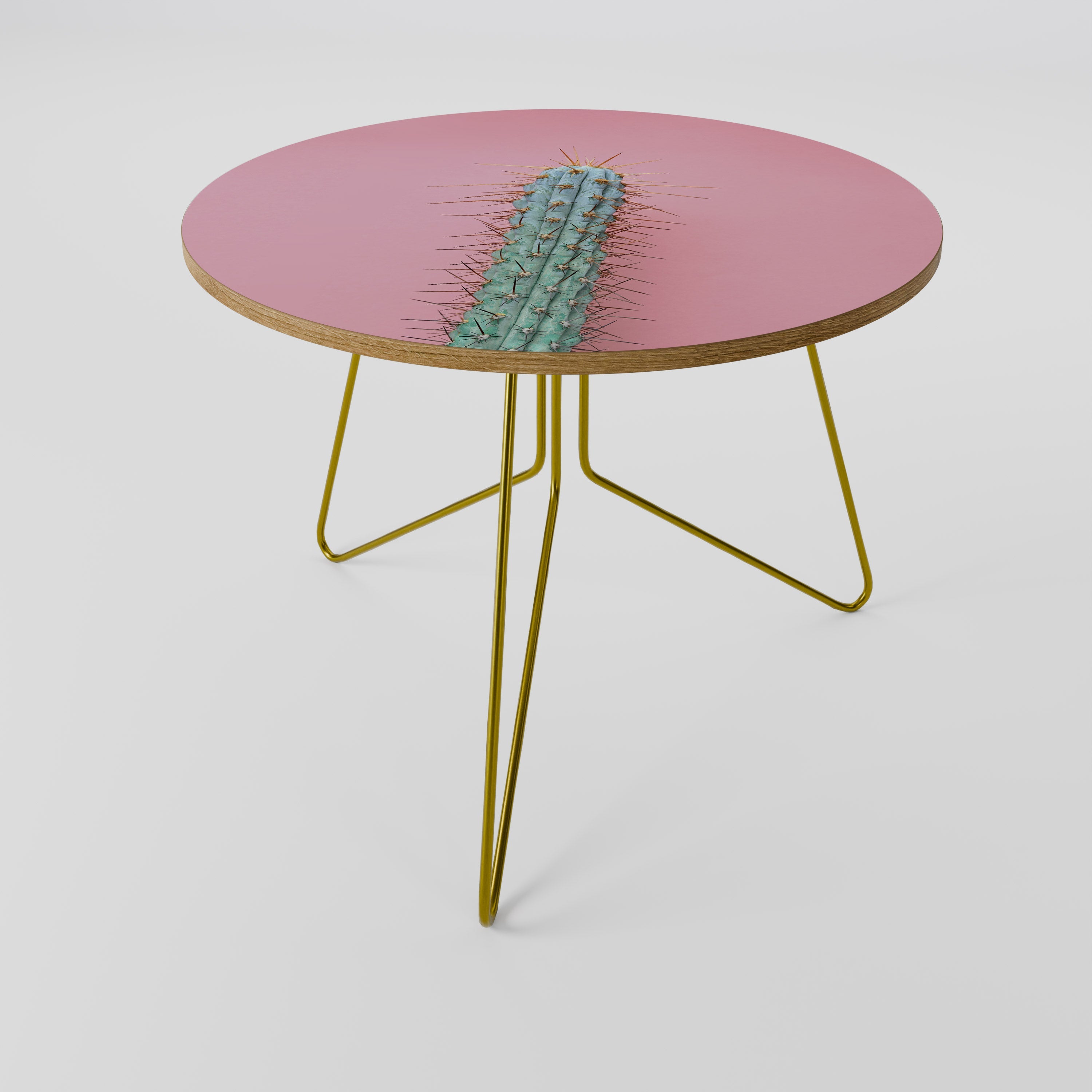 MISTER CACTUS Coffee Table 69