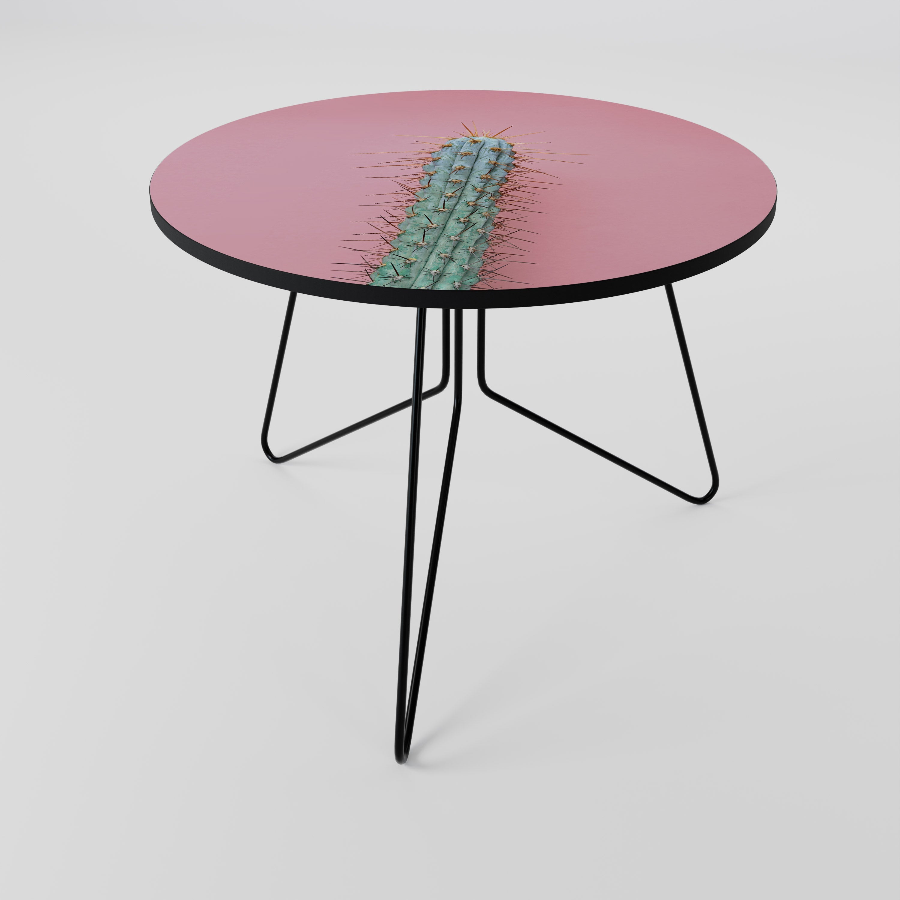 MISTER CACTUS Coffee Table 69