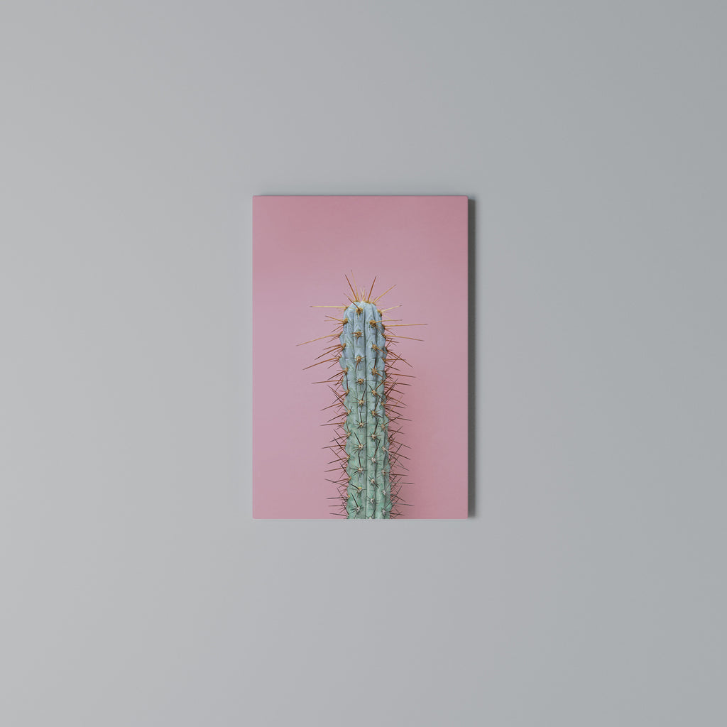 MISTER CACTUS Quadro em tela vertical