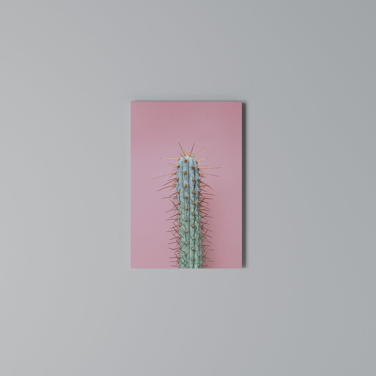 MISTER CACTUS Quadro em tela vertical