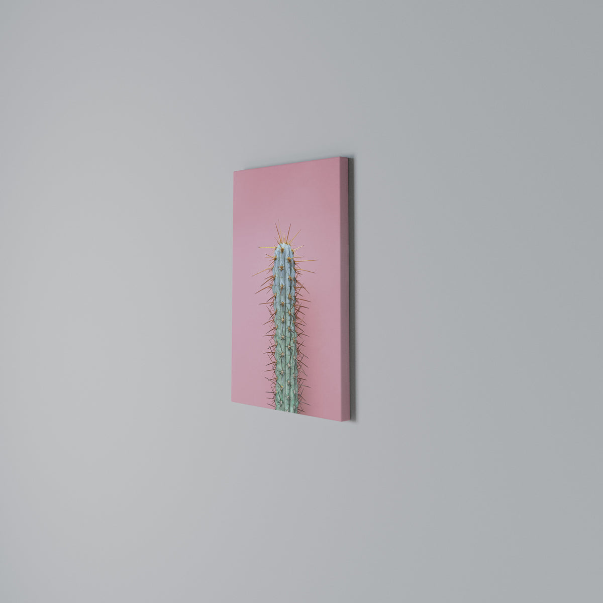 MISTER CACTUS Quadro em tela vertical