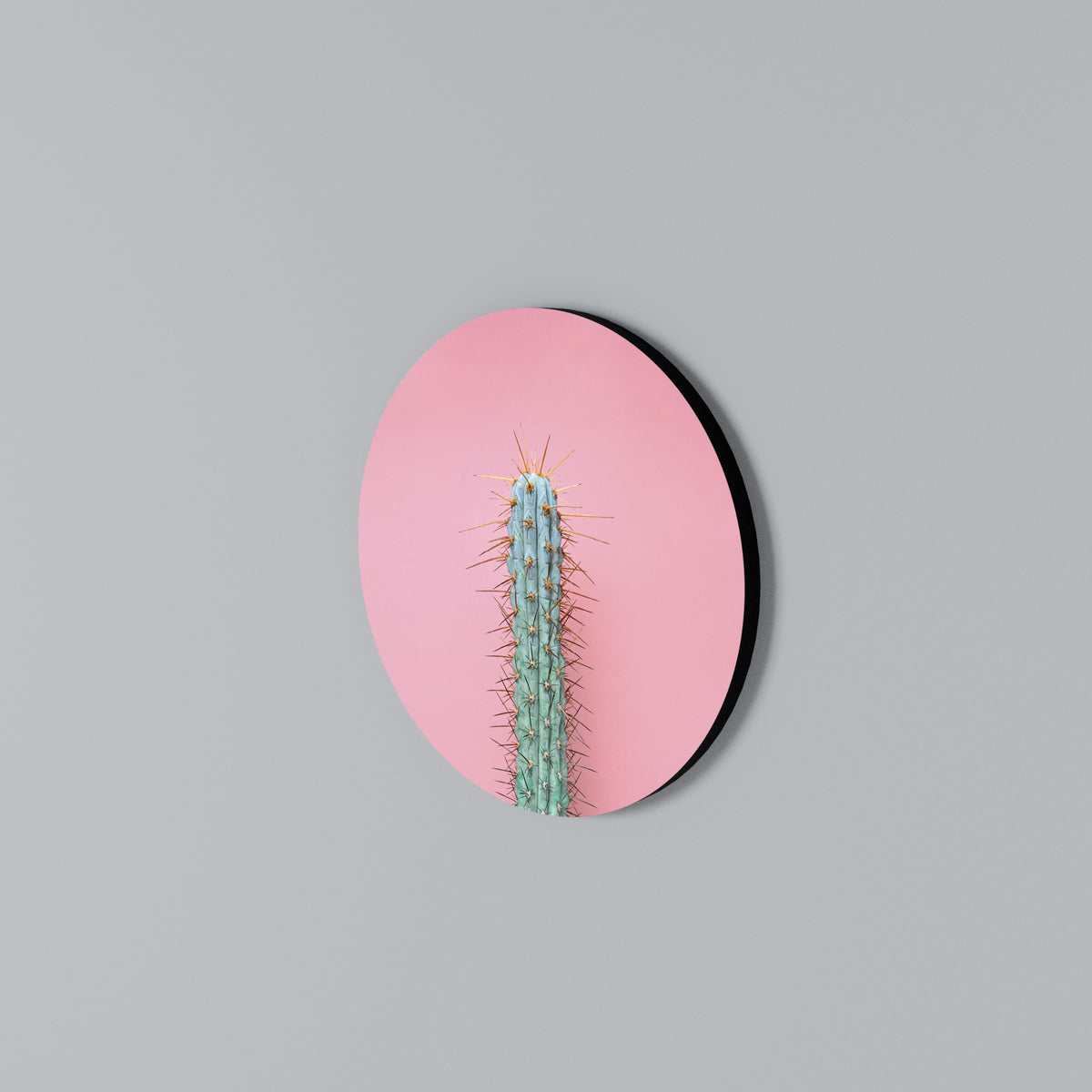 MISTER CACTUS Arte de Parede Redonda