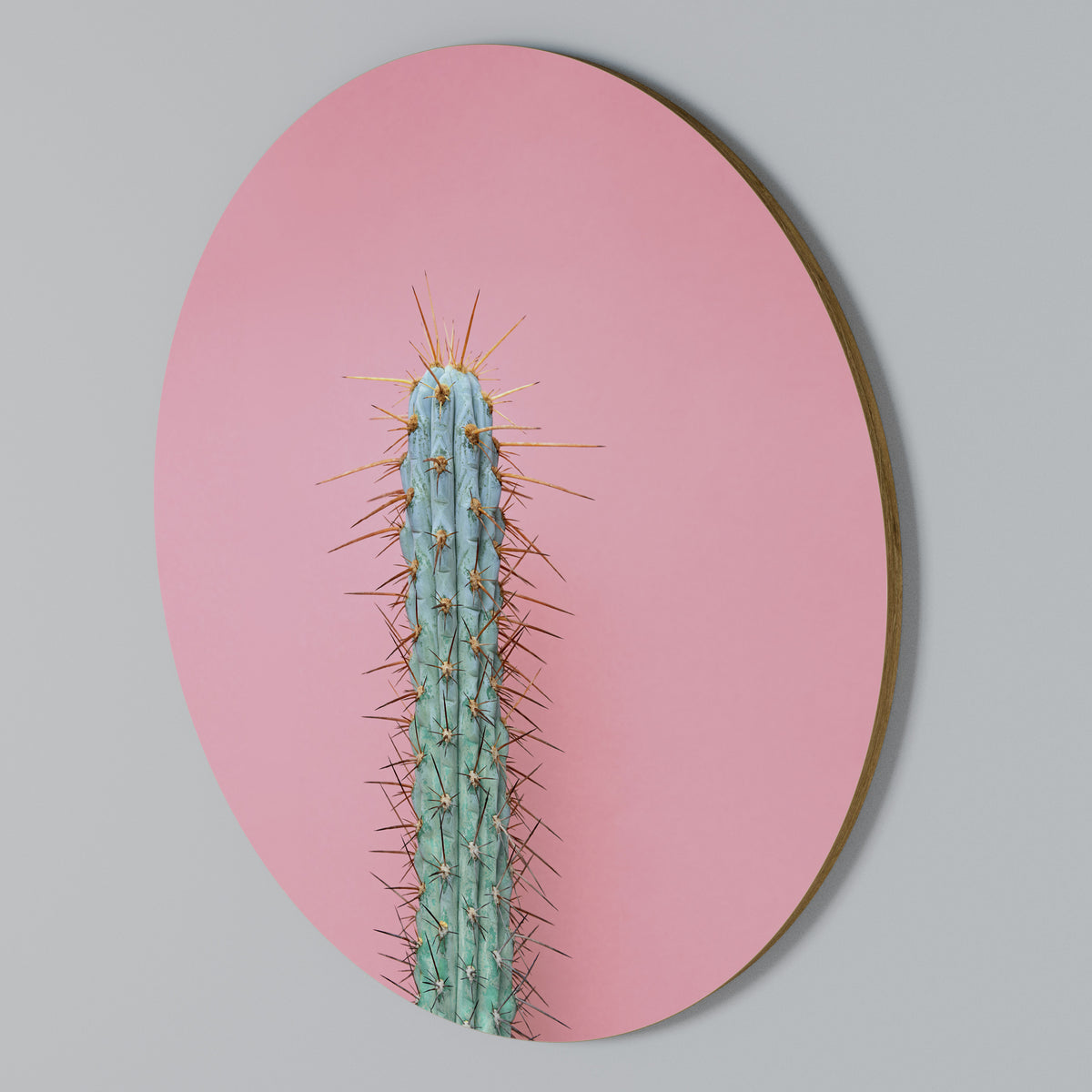MISTER CACTUS Arte de Parede Redonda