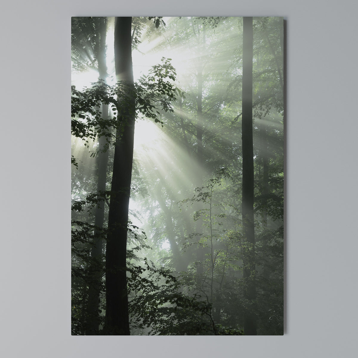 MYSTICAL SUNBEAMS Quadro em tela vertical