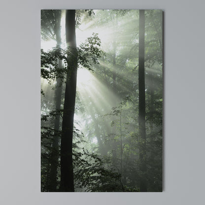 MYSTICAL SUNBEAMS Quadro em tela vertical