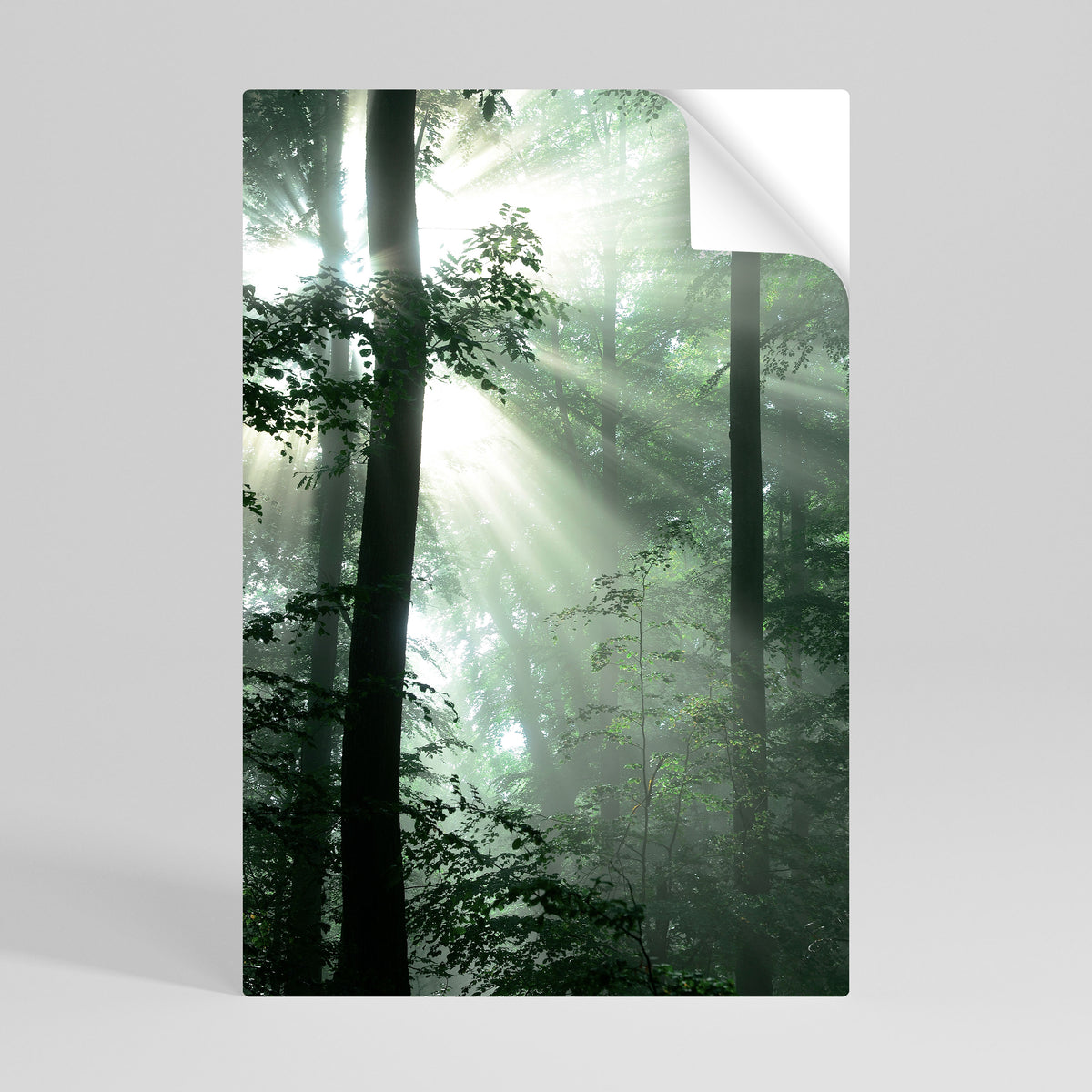 MYSTICAL SUNBEAMS Póster Autocolante Vertical
