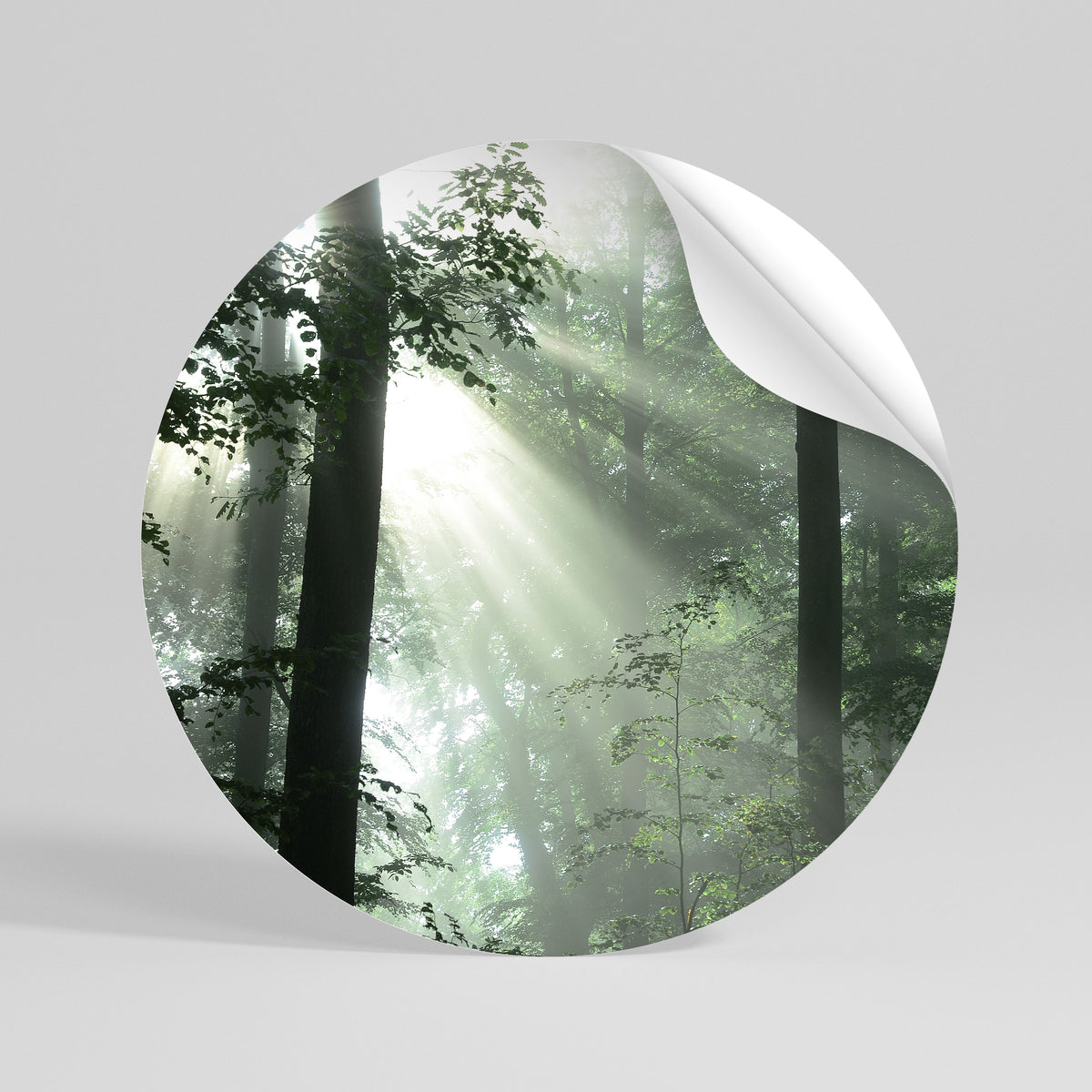 MYSTICAL SUNBEAMS Autocolante Redondo Removível