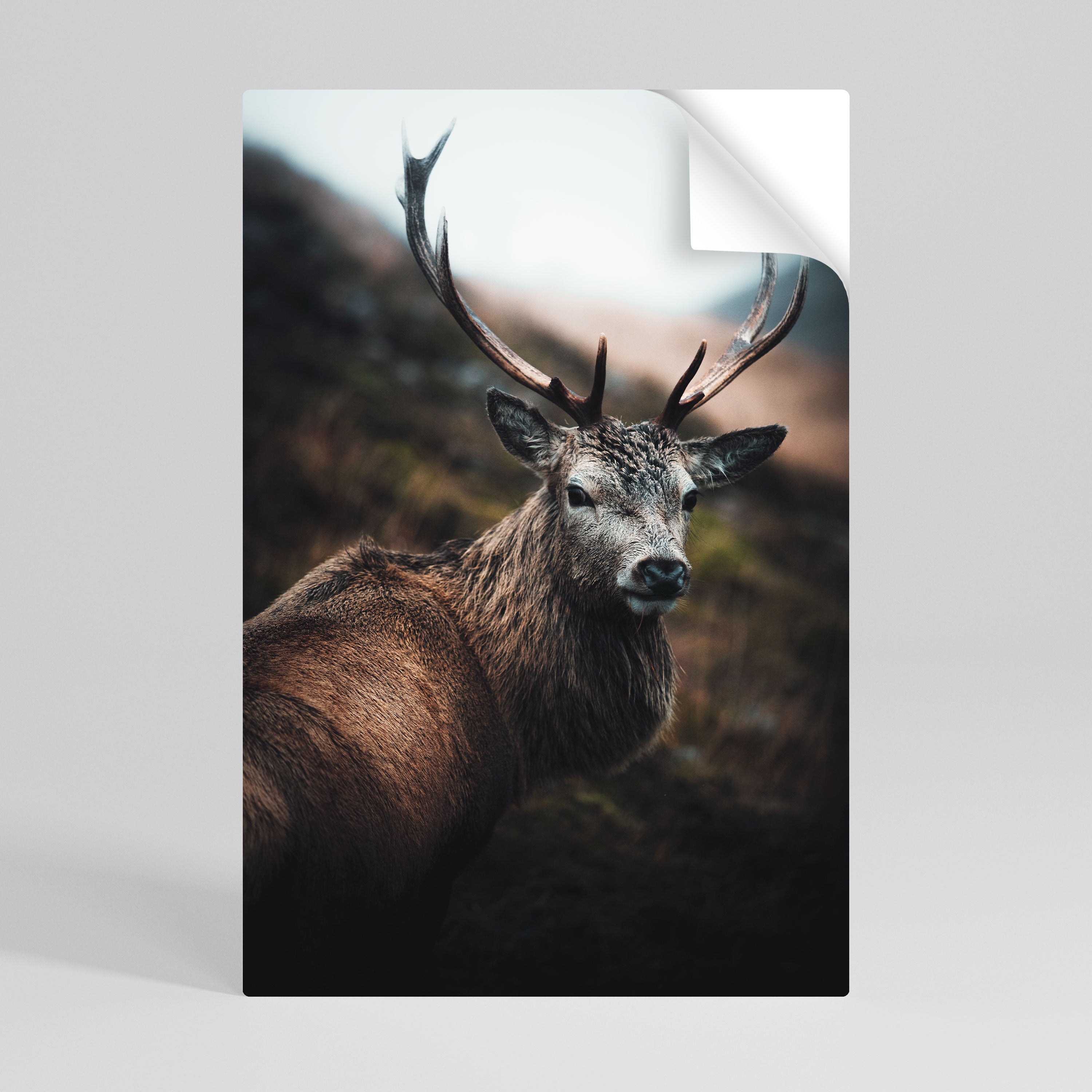 ELEGANT WILDERNESS GUARDIAN Poster Vertical Autocolante
