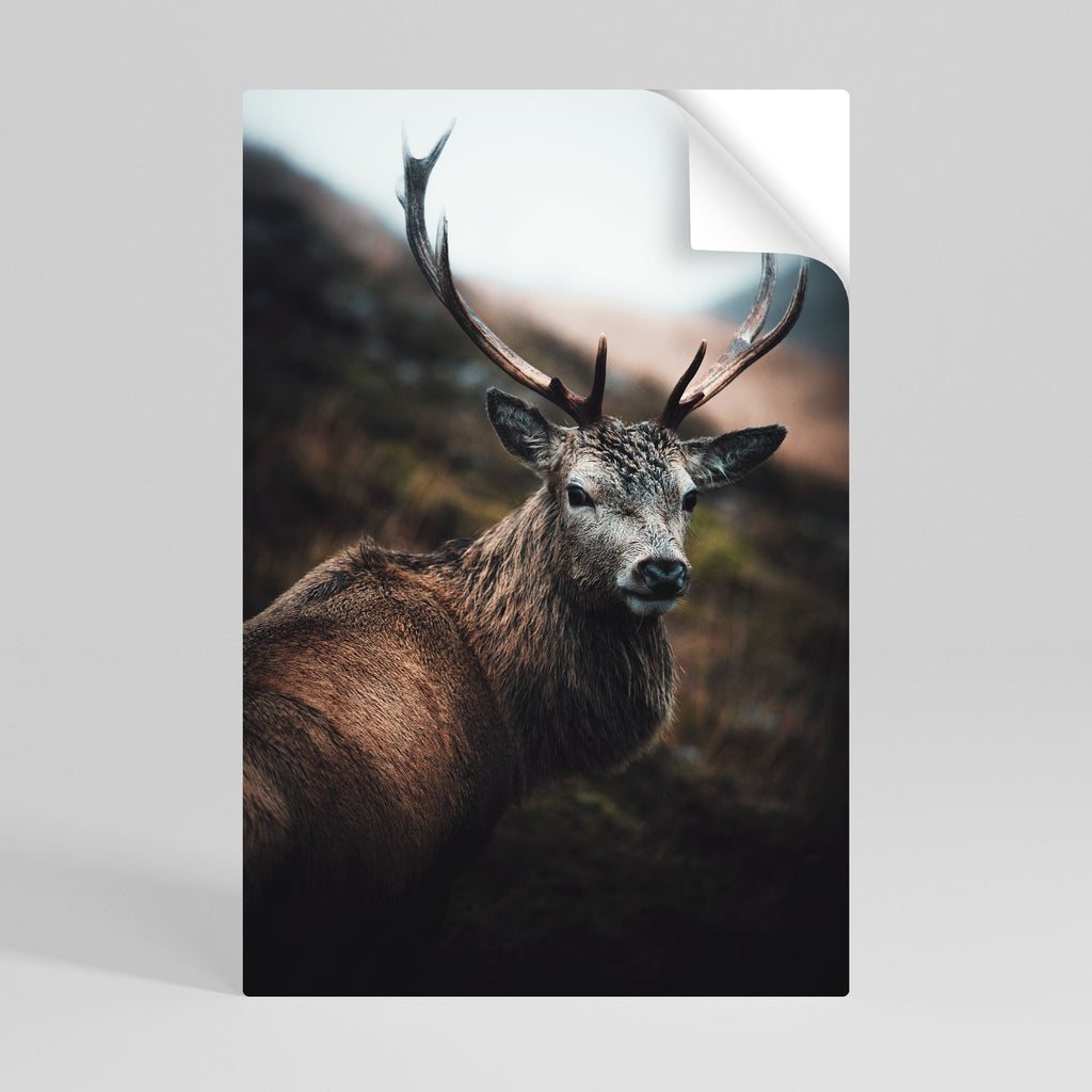 ELEGANT WILDERNESS GUARDIAN Peel and Stick Vertical Poster