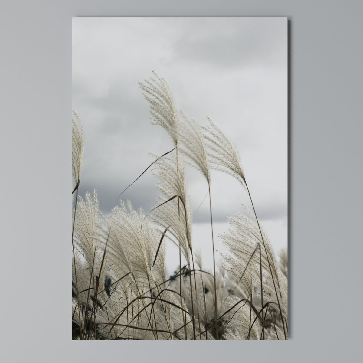 CLOUDS ABOVE GRASS Quadro em tela vertical