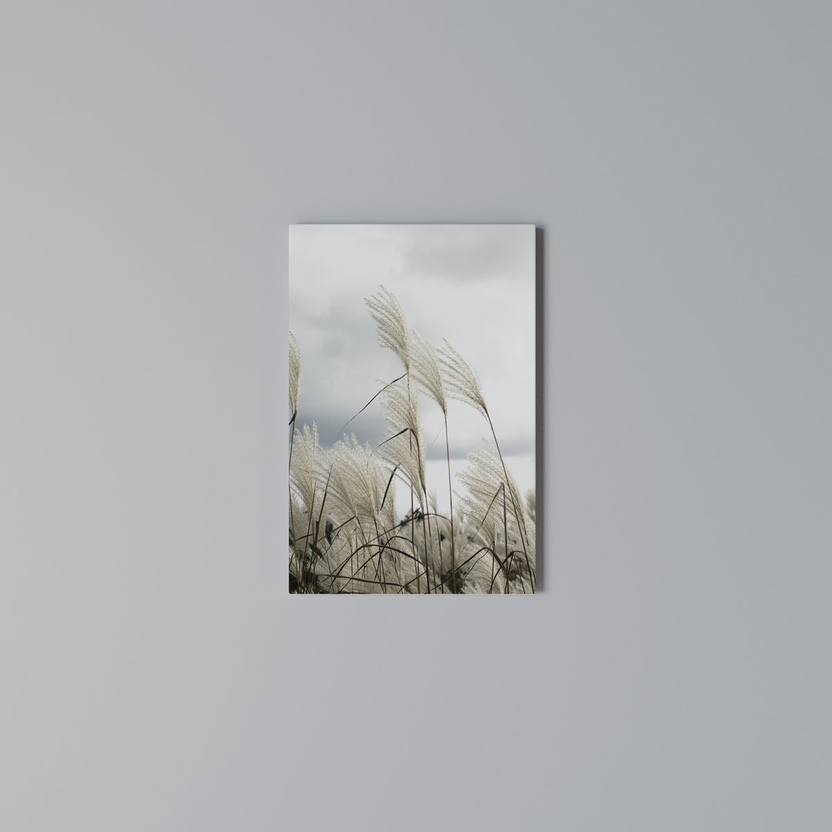 CLOUDS ABOVE GRASS Quadro em tela vertical