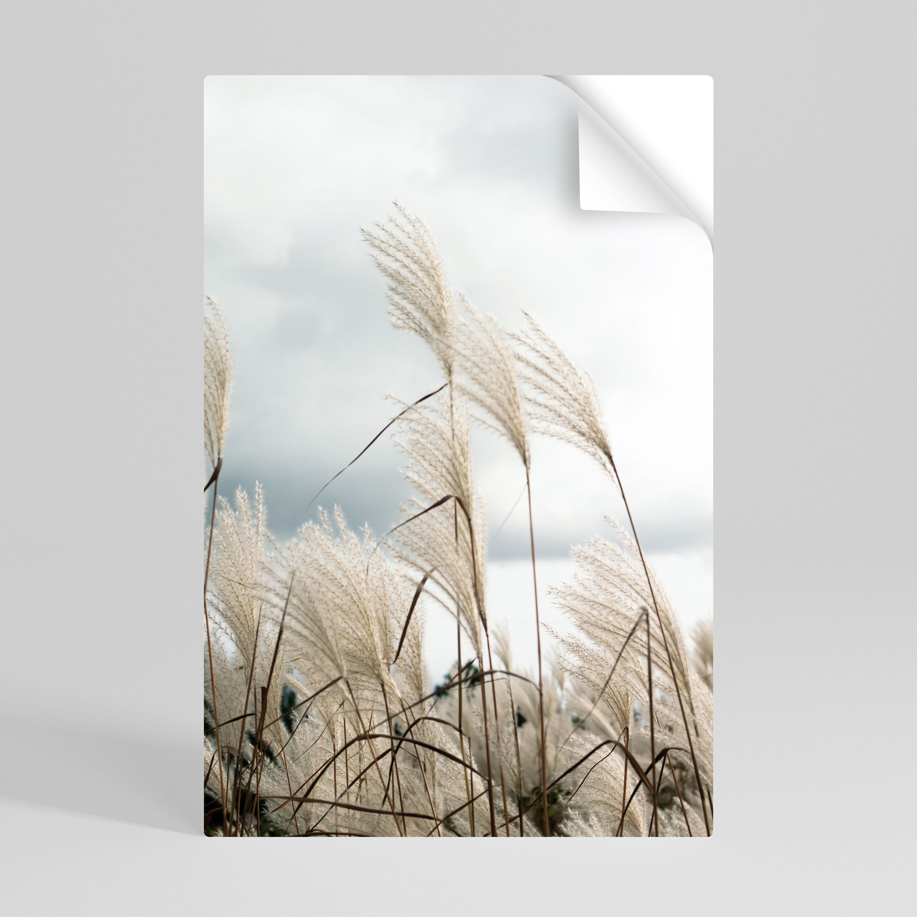 CLOUDS ABOVE GRASS Poster Vertical Autocolante