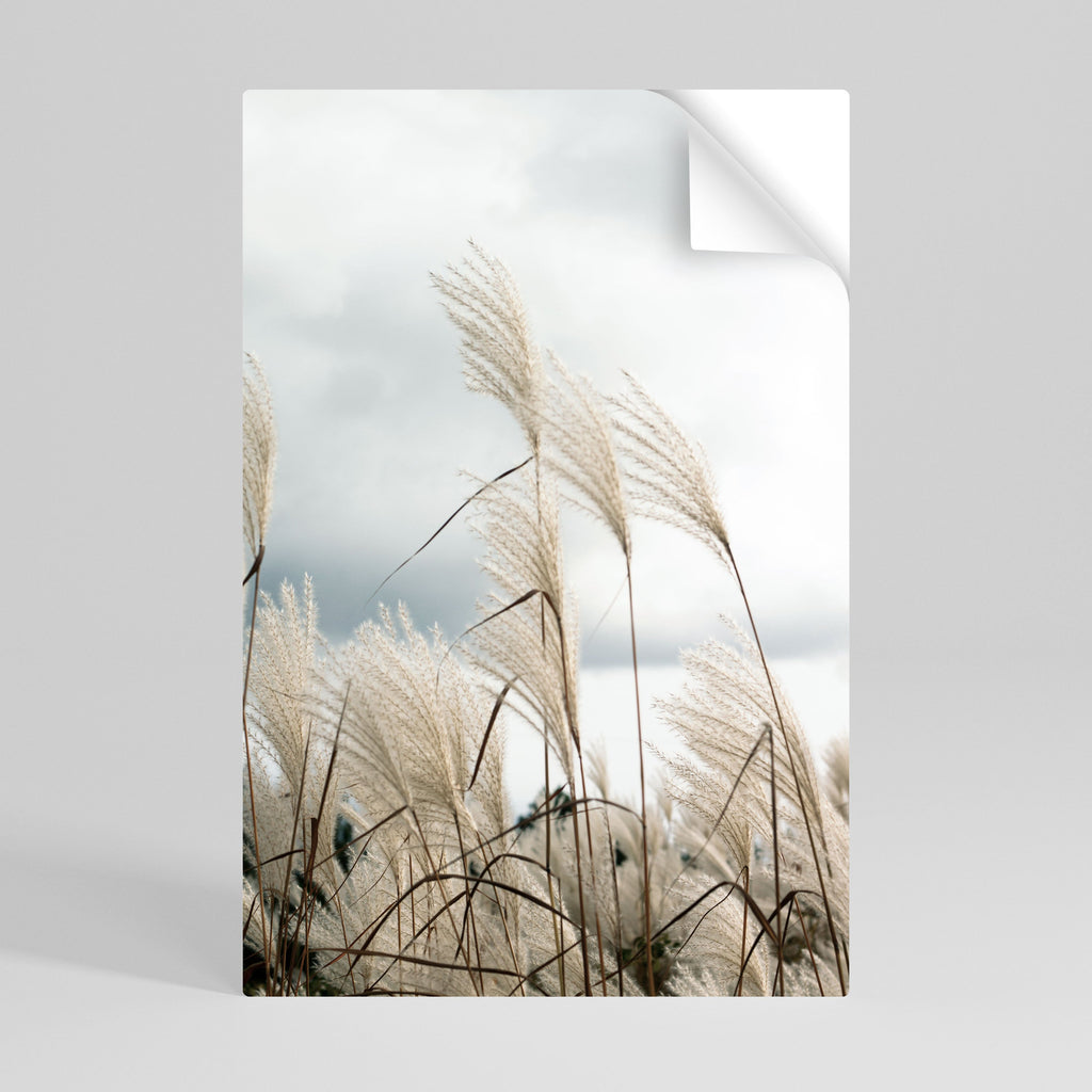 CLOUDS ABOVE GRASS Poster Vertical Autocolante