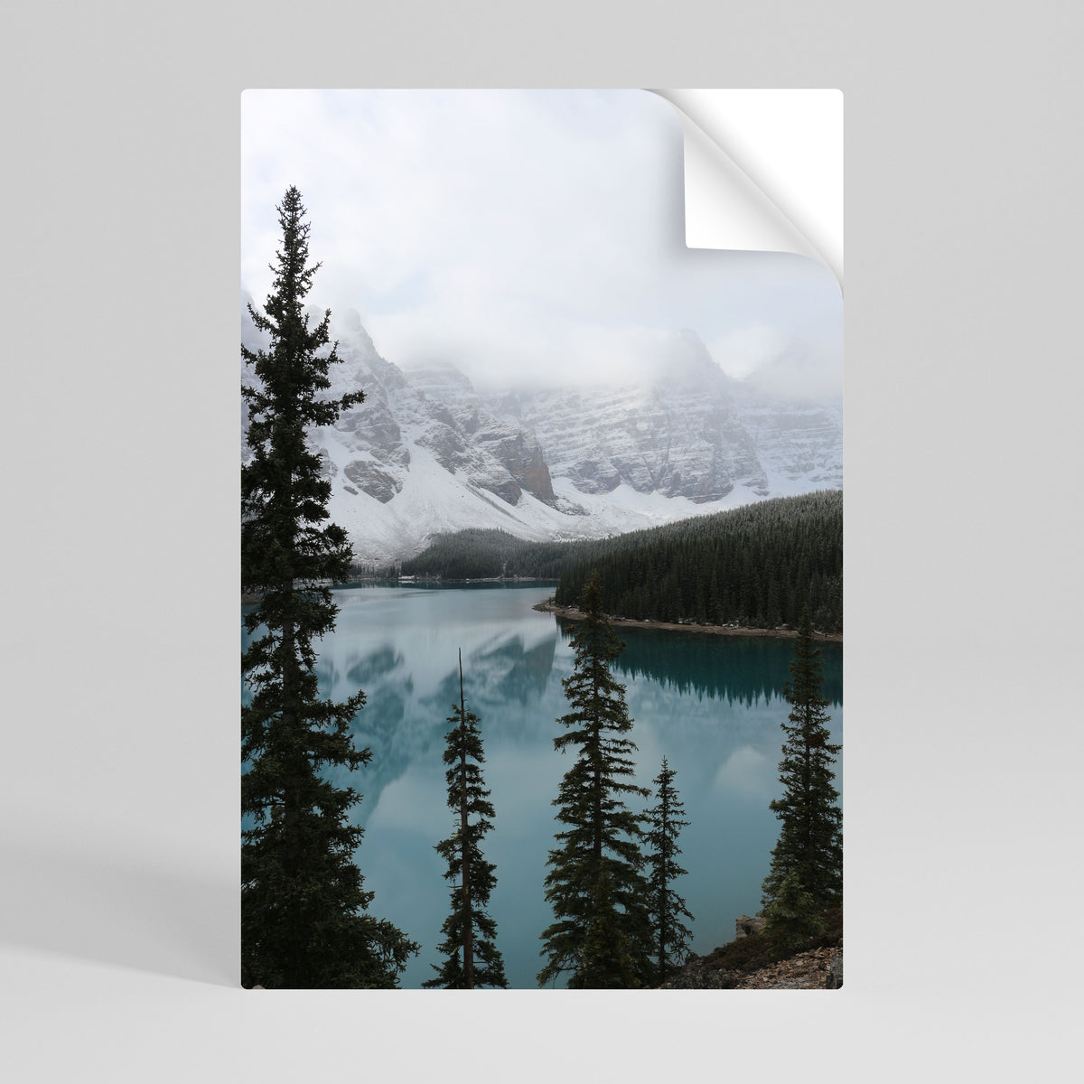 MISTY FOREST BOUNDARIES Póster Autocolante Vertical