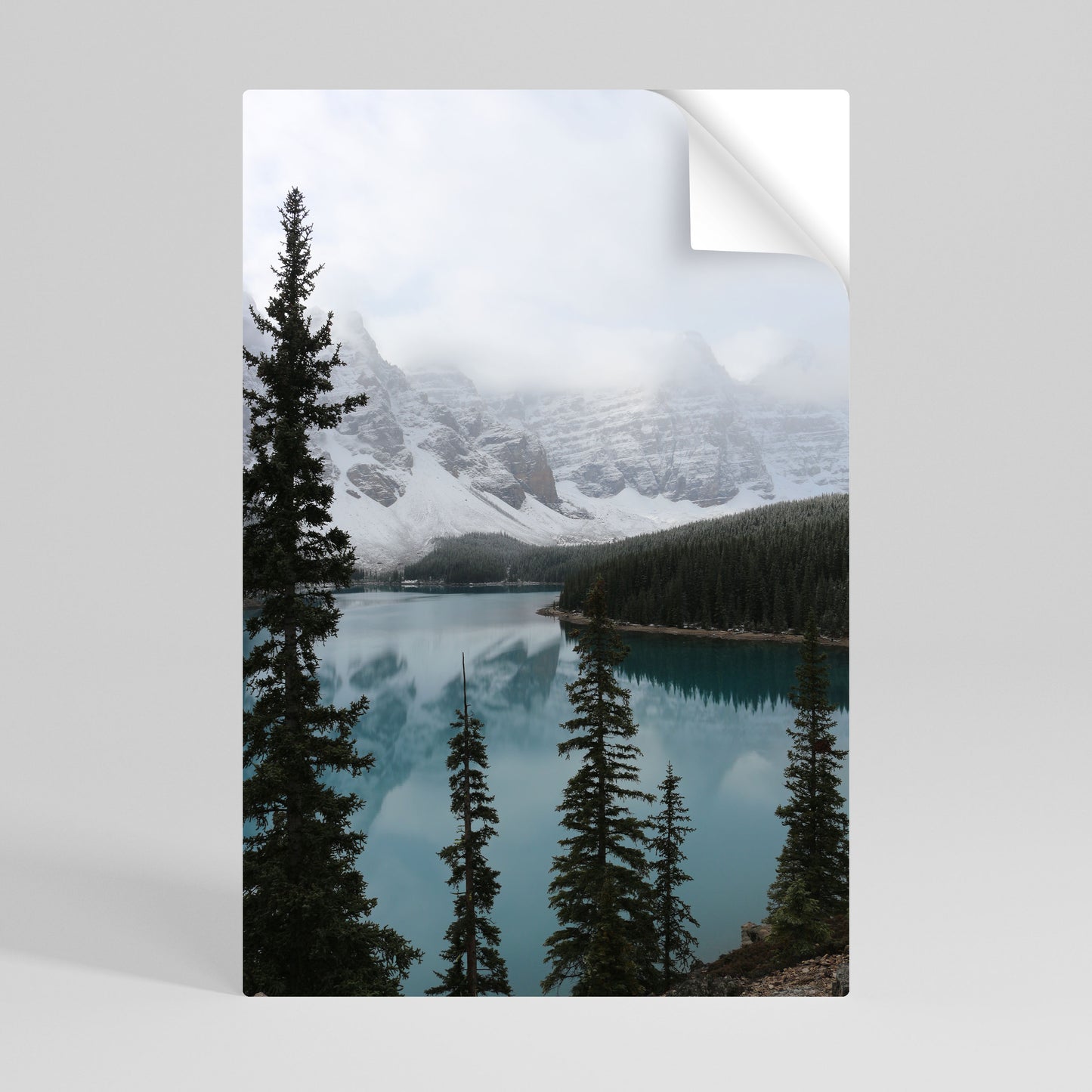 MISTY FOREST BOUNDARIES Póster Autocolante Vertical
