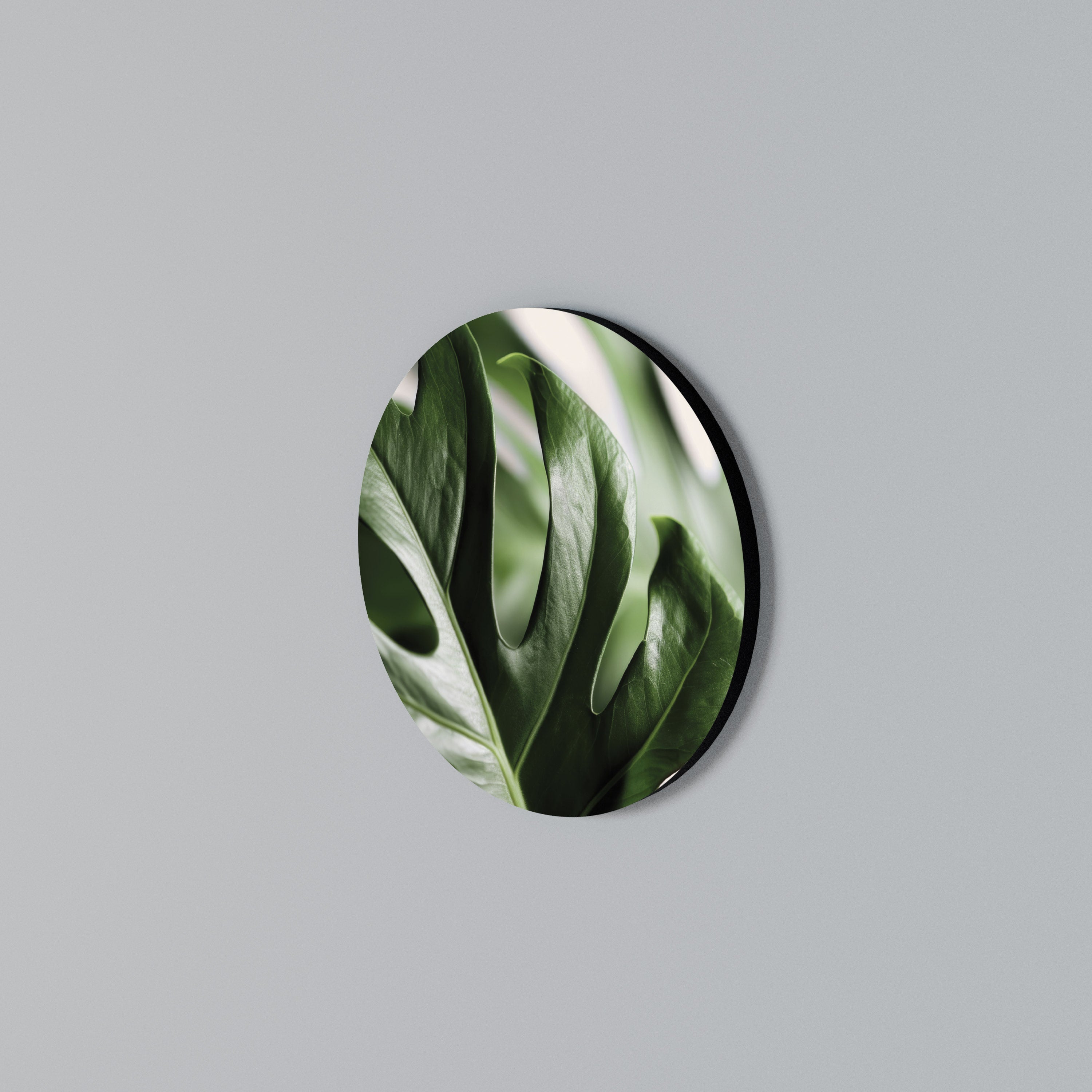 SHARP MONSTERA Arte de Parede Redonda