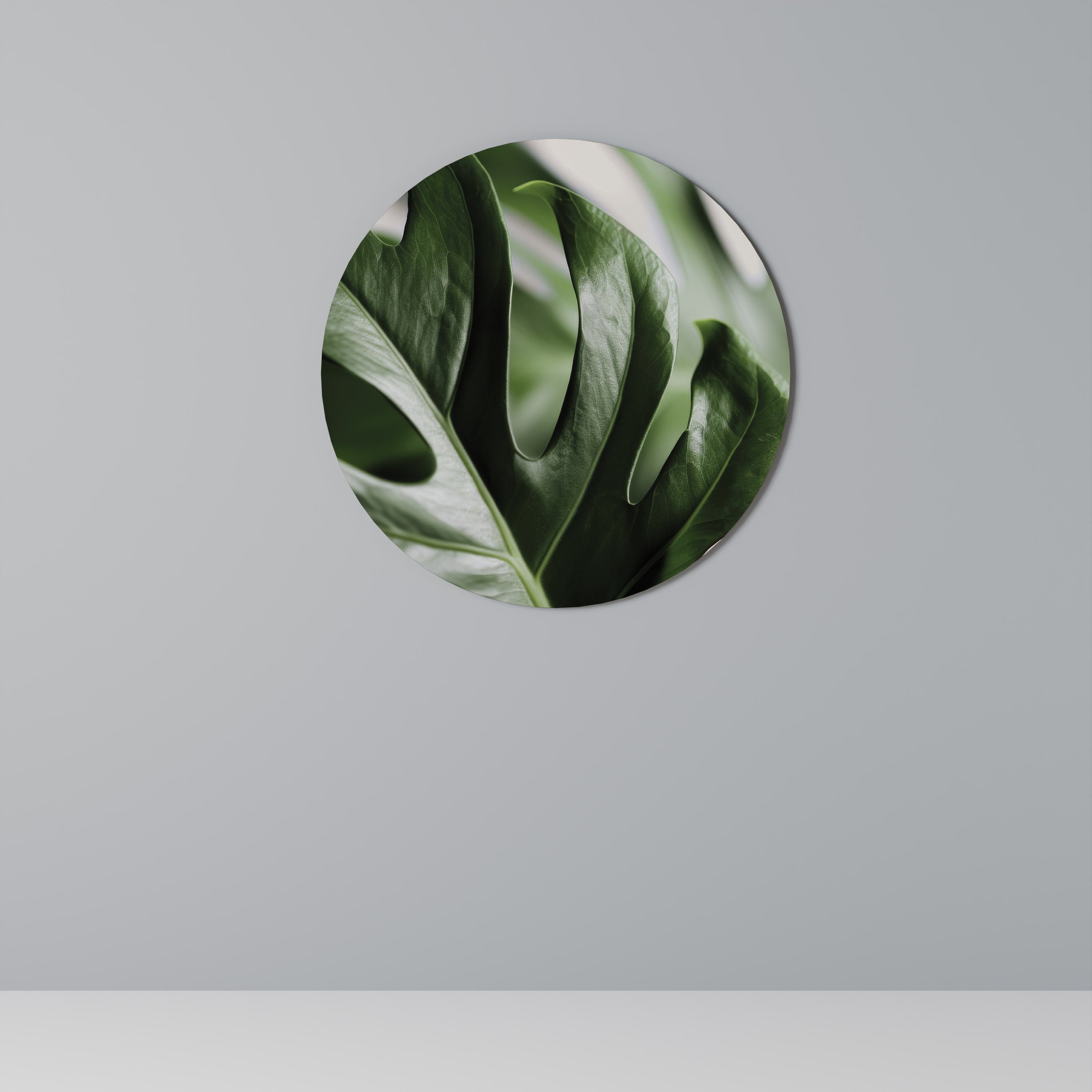 SHARP MONSTERA Quadro Redondo Decorativo