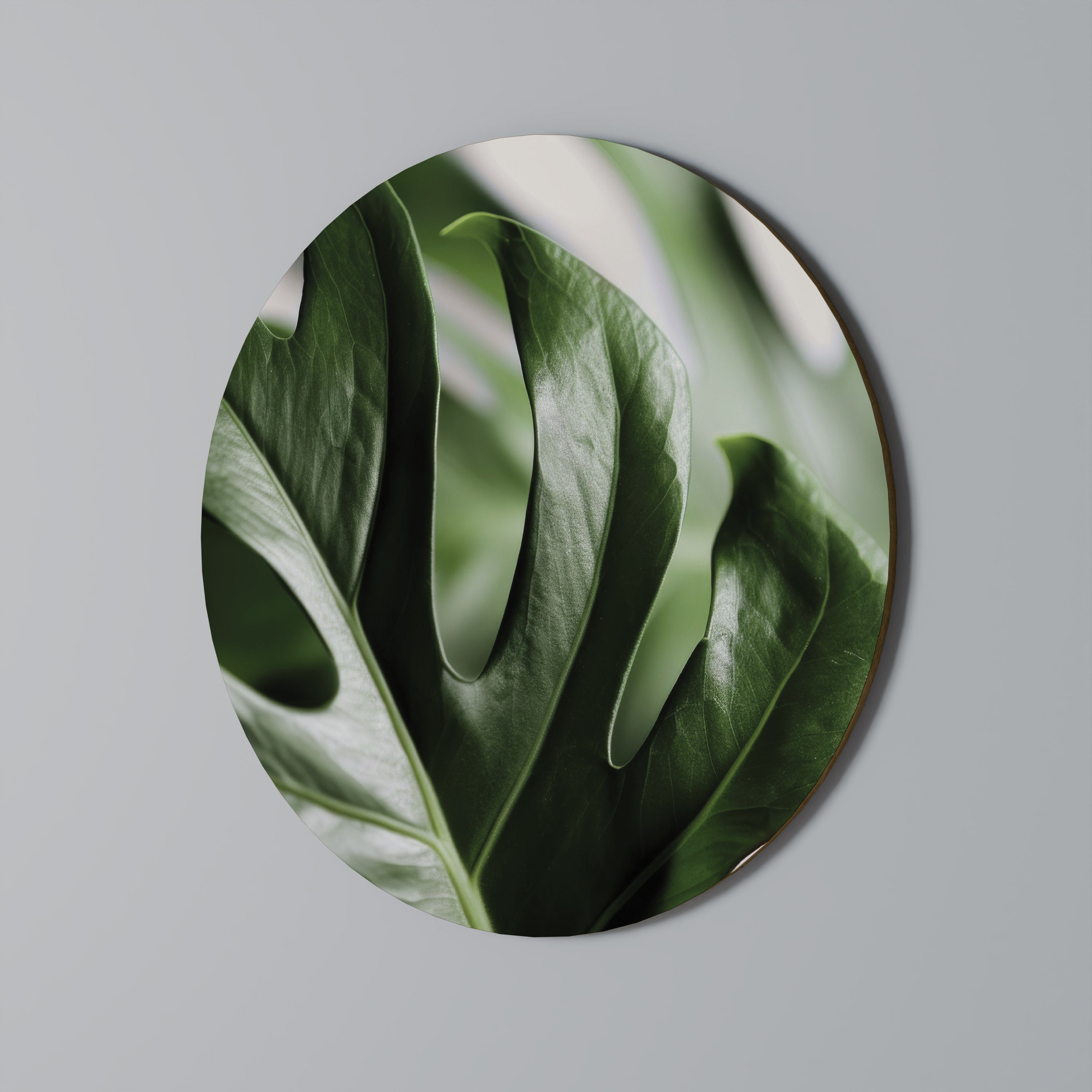 SHARP MONSTERA Quadro Redondo Decorativo