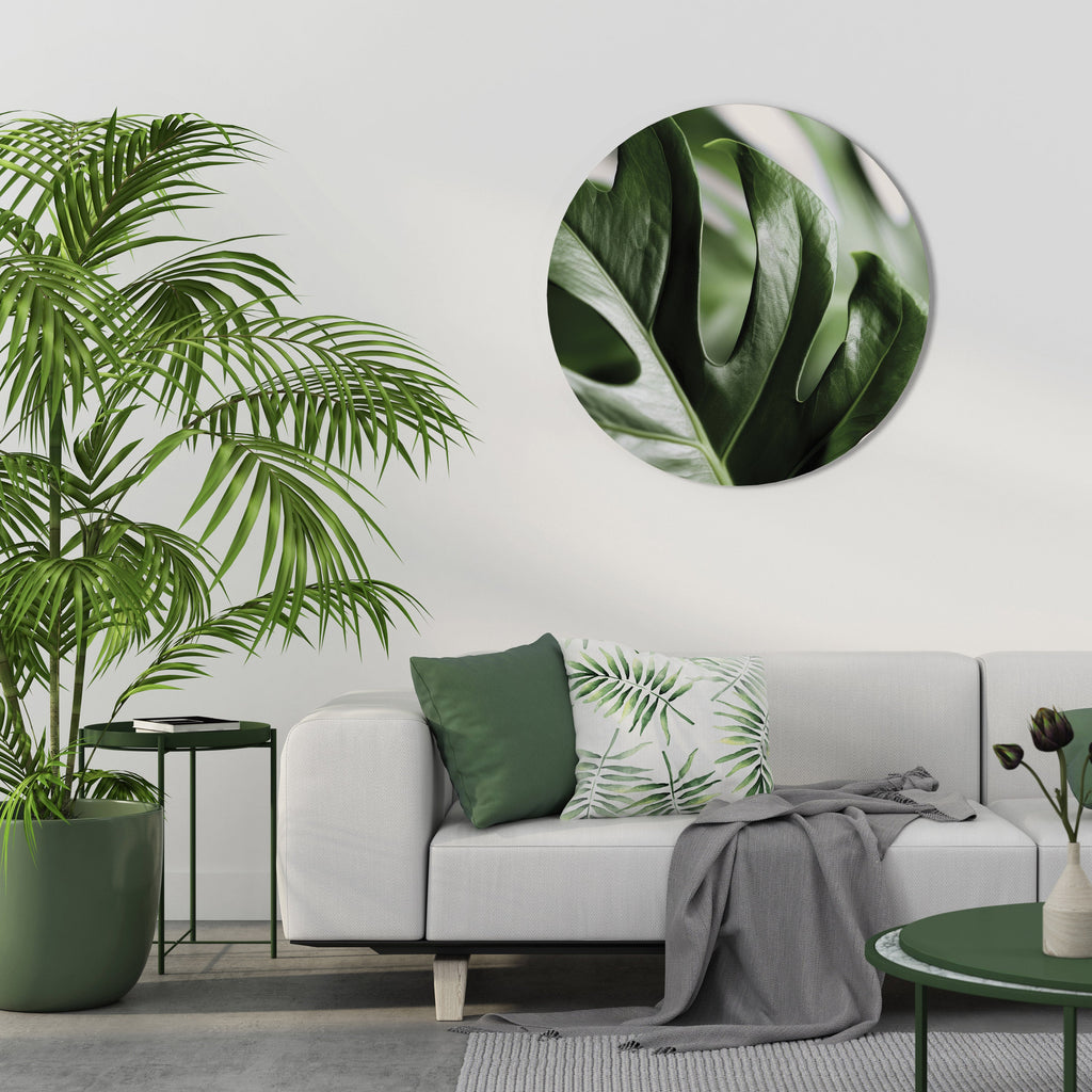 SHARP MONSTERA Quadro Redondo Decorativo