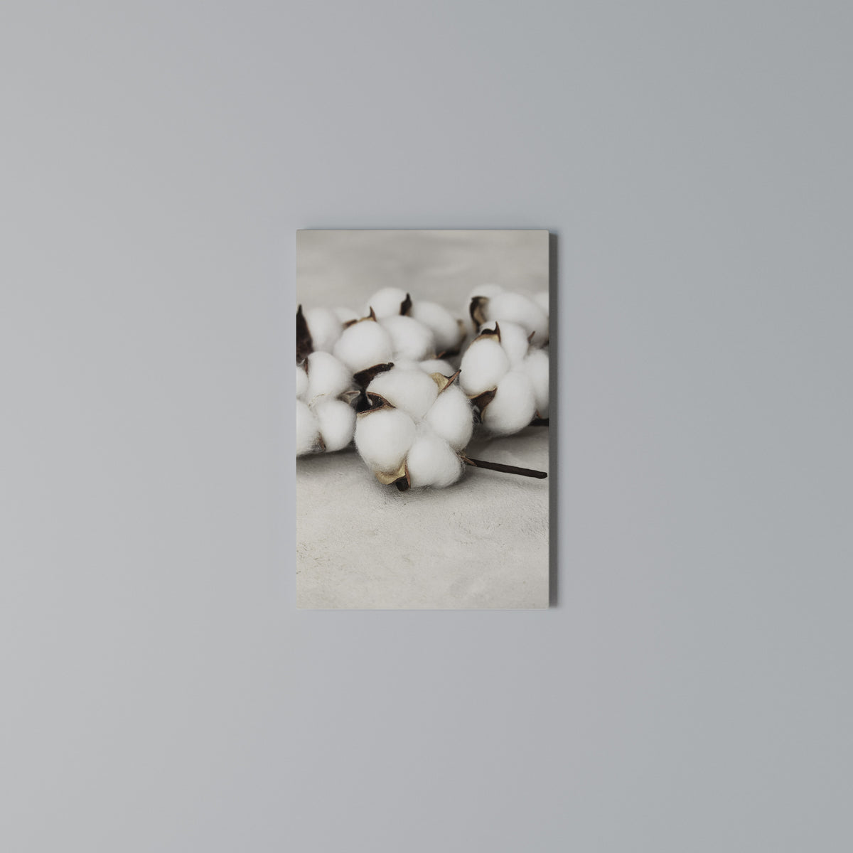 COTTON CLOUDS WHISPERS Quadro em tela vertical