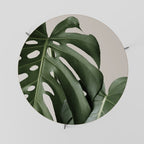 MONSTERA ACCURACY Mesa de Centro 69