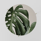 MONSTERA ACCURACY Mesa de Centro 69