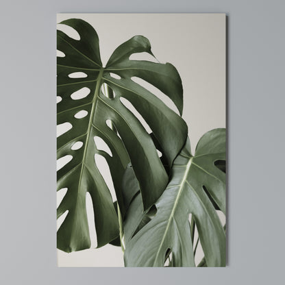 MONSTERA ACCURACY Quadro em tela vertical