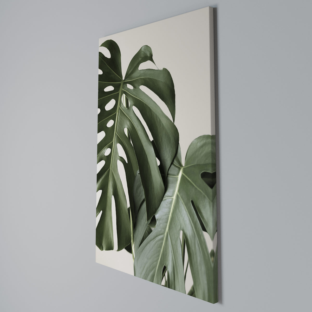 MONSTERA ACCURACY Quadro em tela vertical