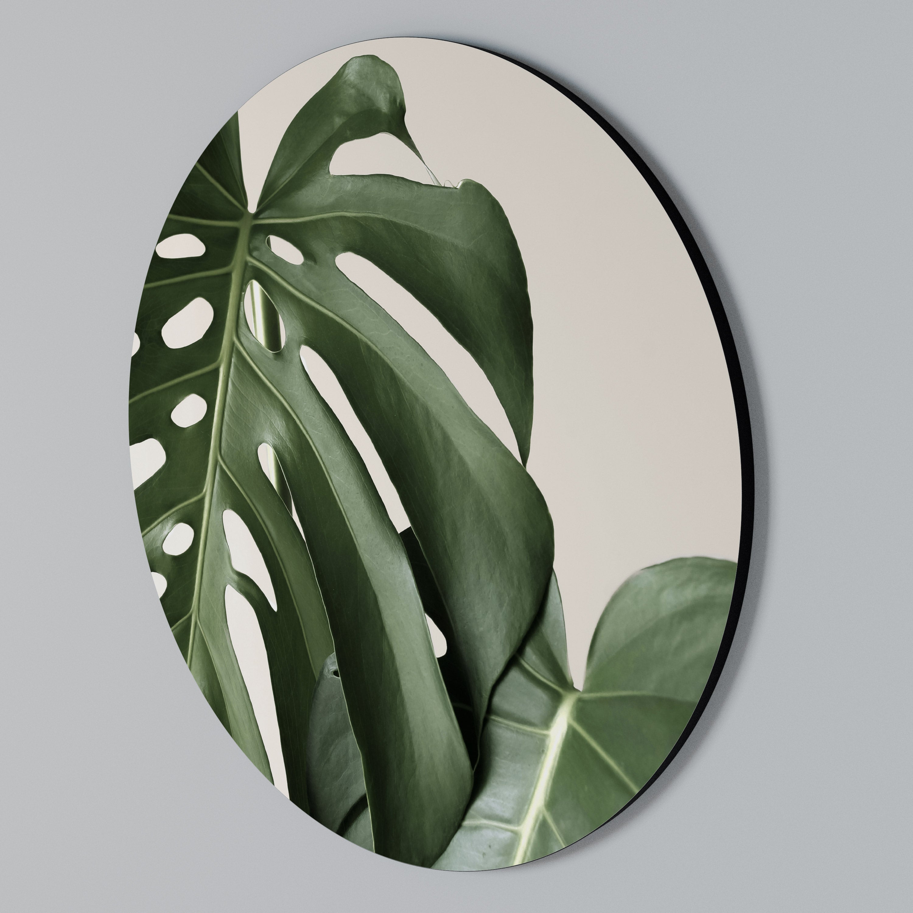 MONSTERA ACCURACY Arte de Parede Redonda