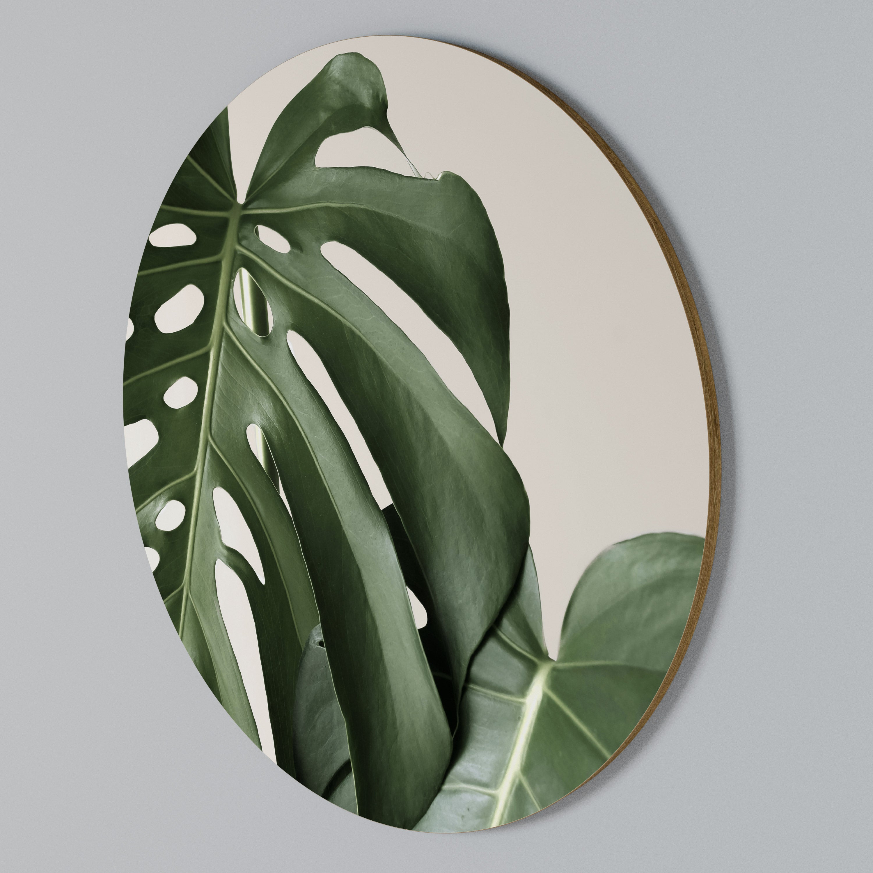 MONSTERA ACCURACY Arte de Parede Redonda