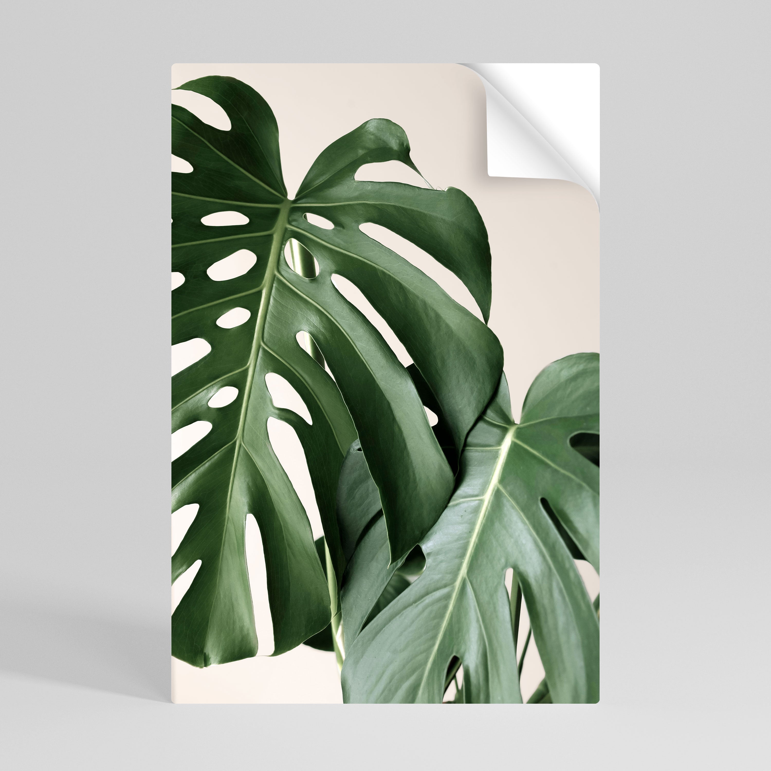 MONSTERA ACCURACY Peel and Stick Vertical Poster