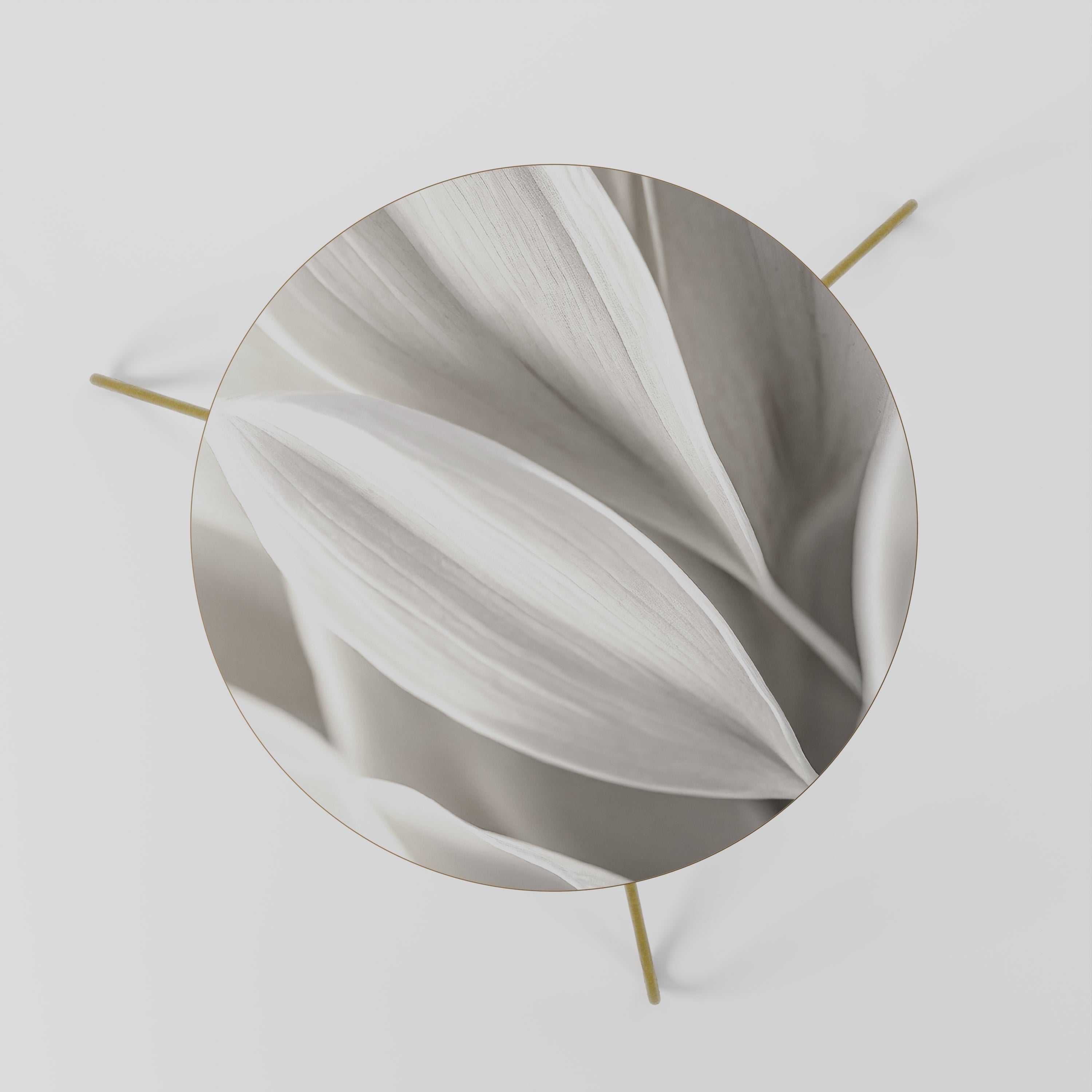 WHISPERS OF WHITE Mesa de Centro 60