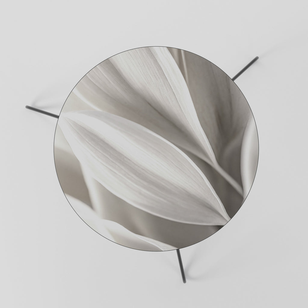 WHISPERS OF WHITE Mesa de Centro 60