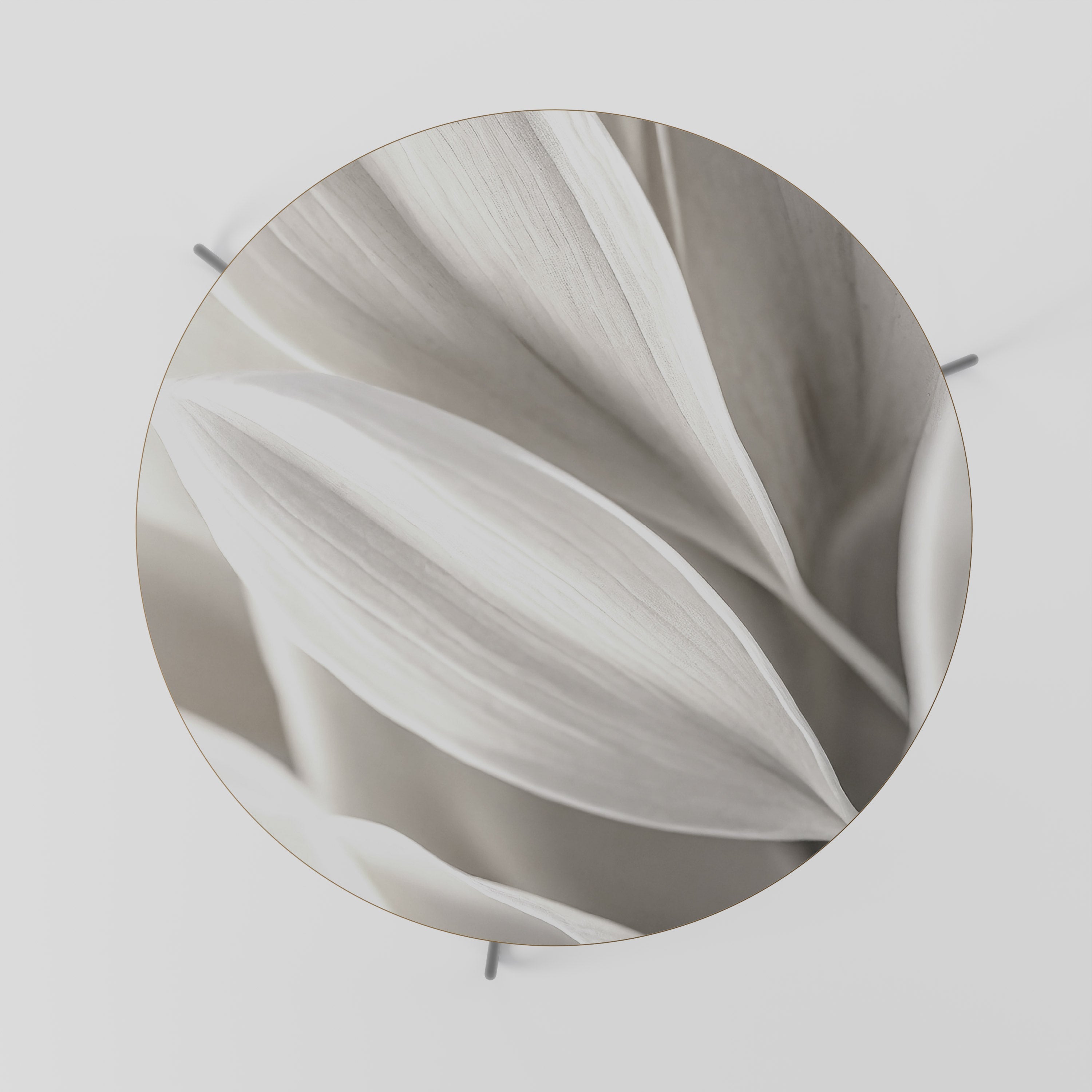 WHISPERS OF WHITE Mesa de Centro 69