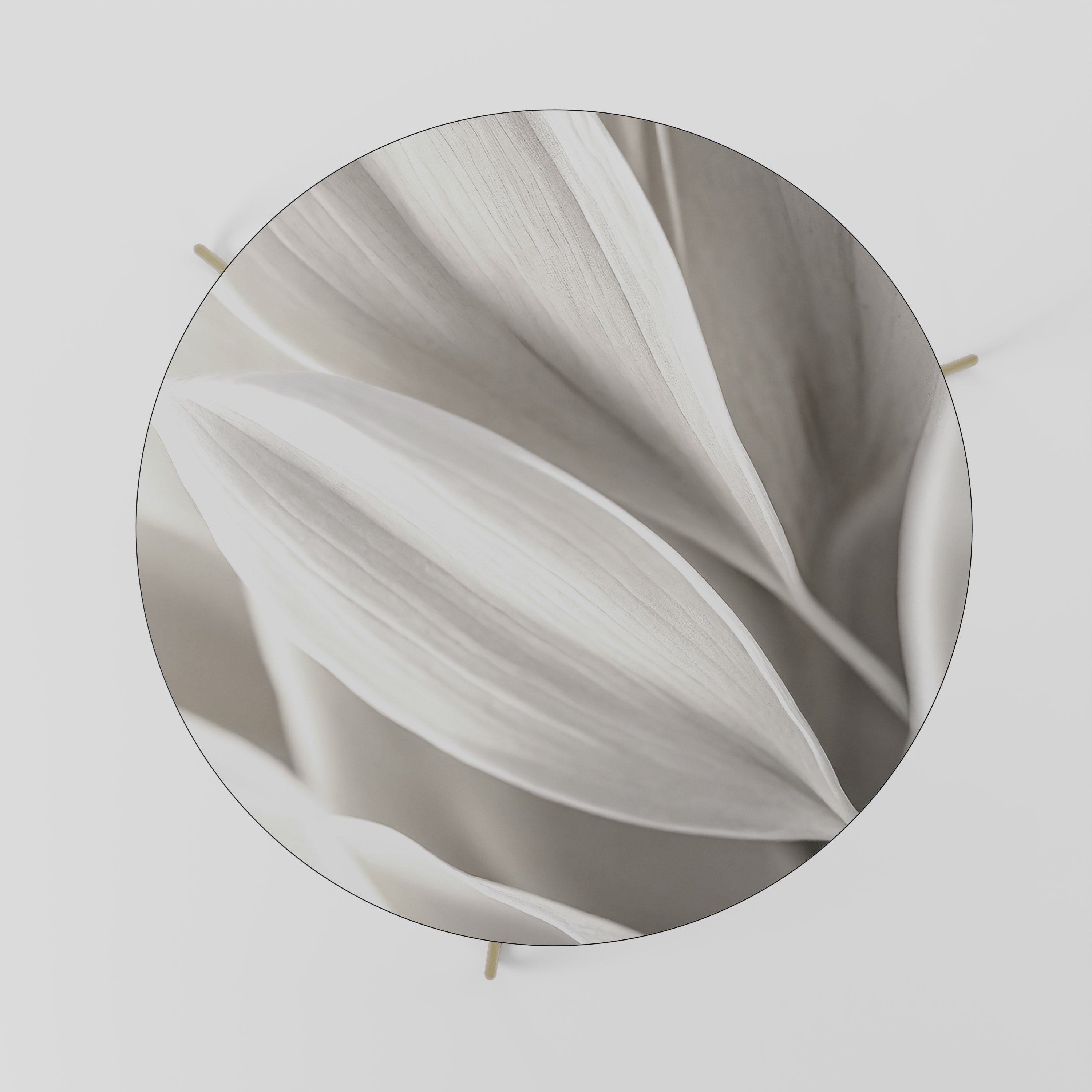 WHISPERS OF WHITE Mesa de Centro 69