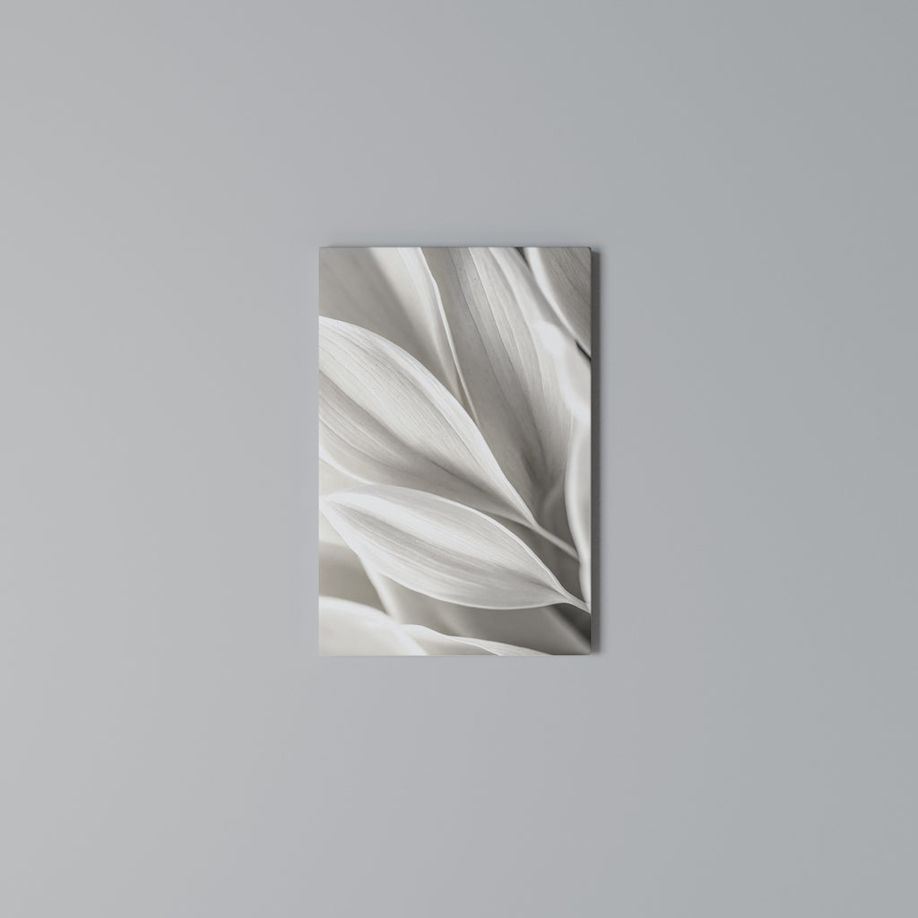 WHISPERS OF WHITE Quadro em tela vertical