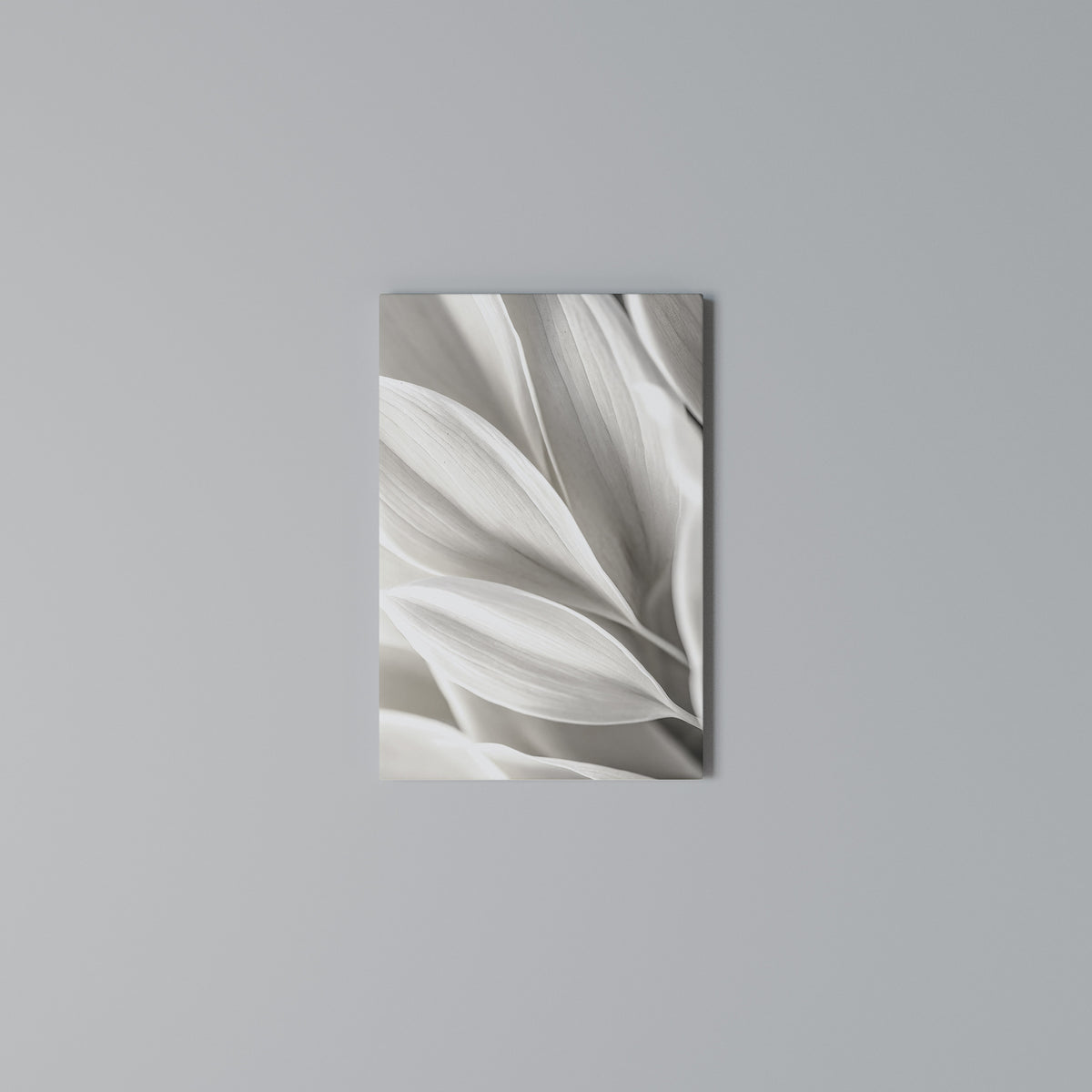 WHISPERS OF WHITE Quadro em tela vertical