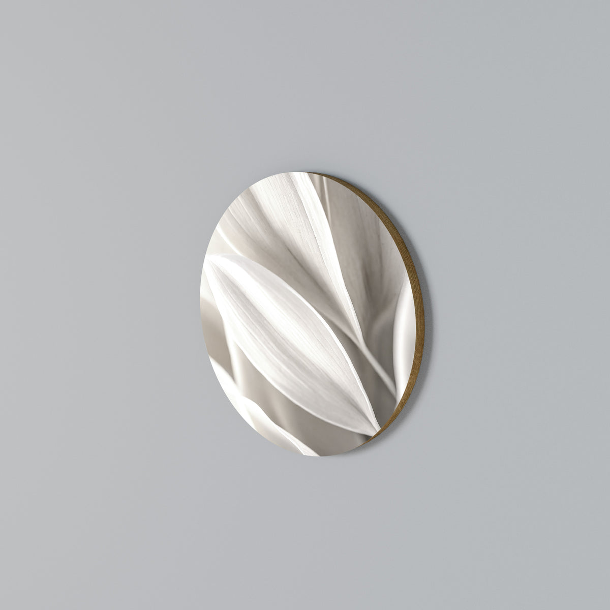 WHISPERS OF WHITE Arte de Parede Redonda